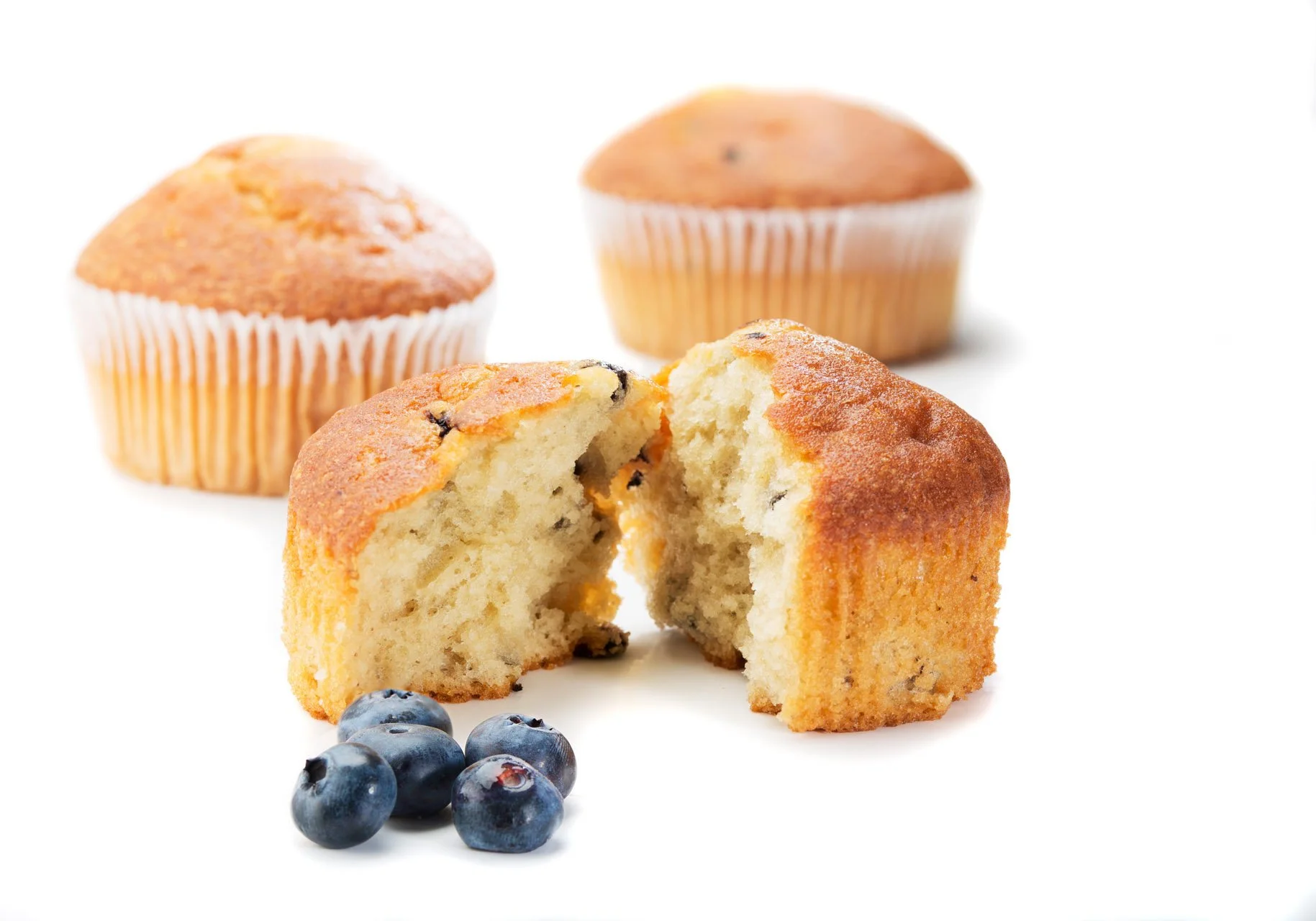 (M14) Blueberry Muffin Propped (HI RES).jpg