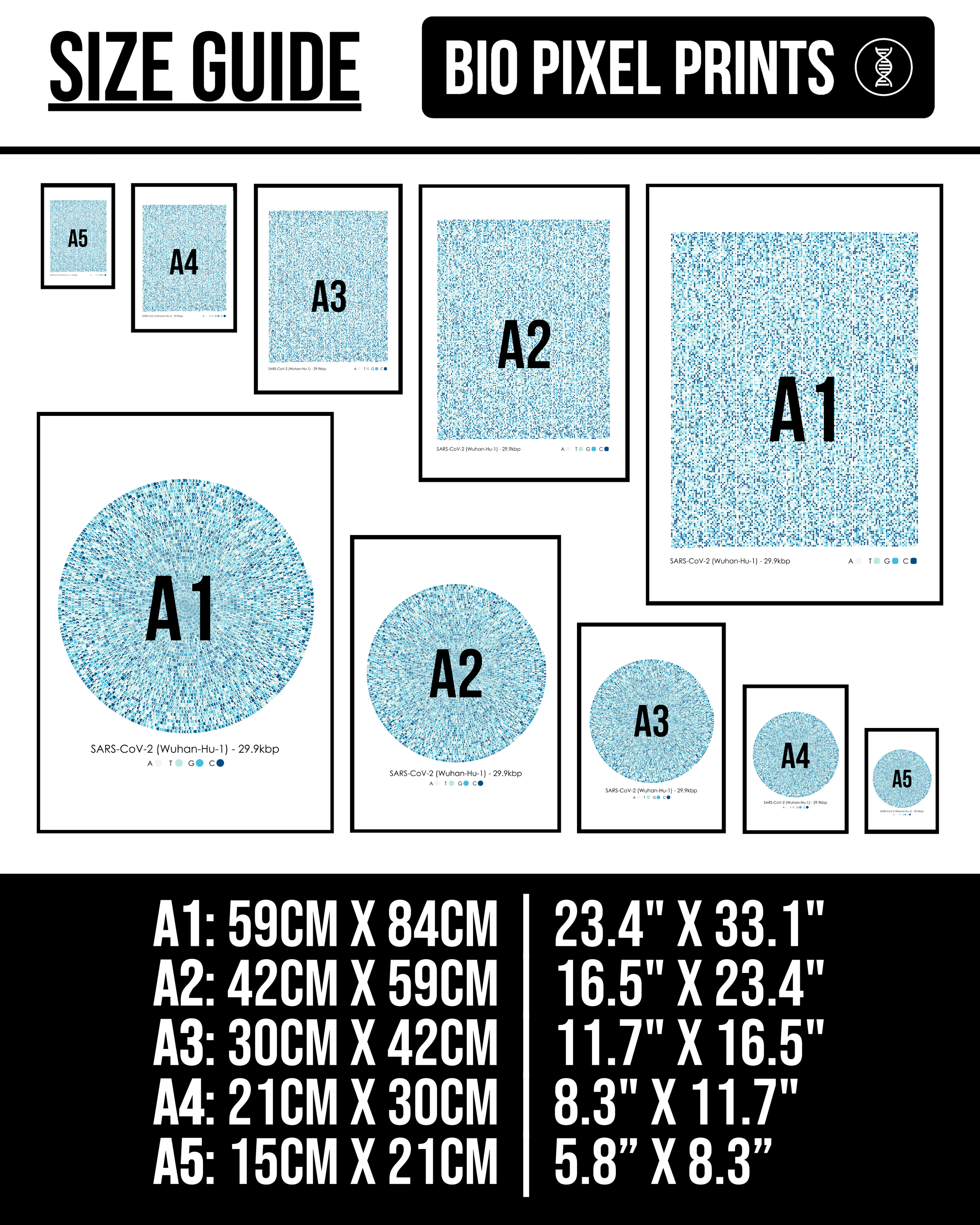 science-custom-genetic-sequence-art-size-guide