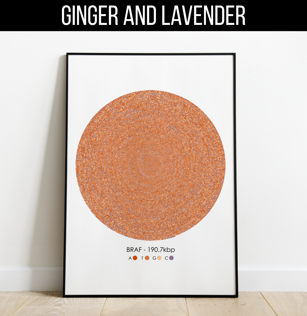 braf-gene-print-spiral-orange-and-purple-ginger-and-lavender