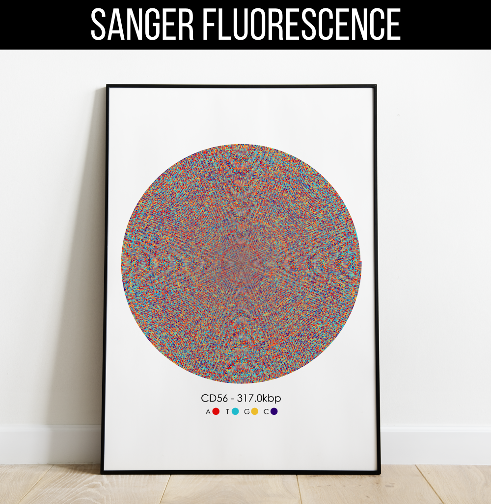 cd56-print-spiral-multi-colored-sanger-fluorescence