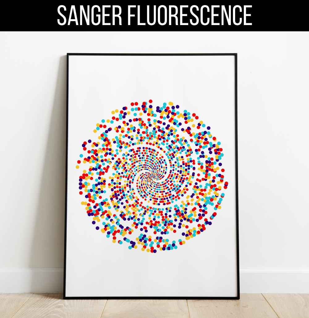 prime-spiral-print-20000-multi-colored-sanger-fluorescence