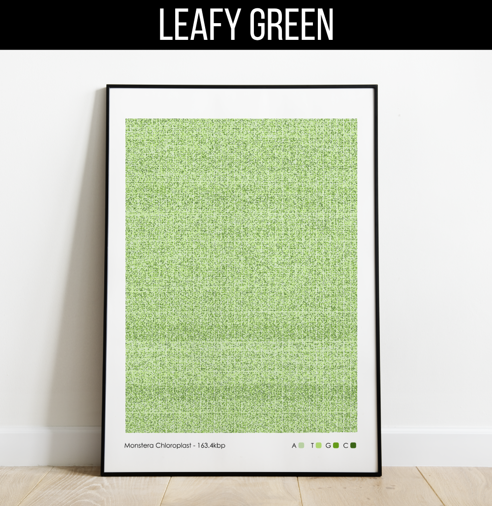monstera-genome-print-grid-leafy-green