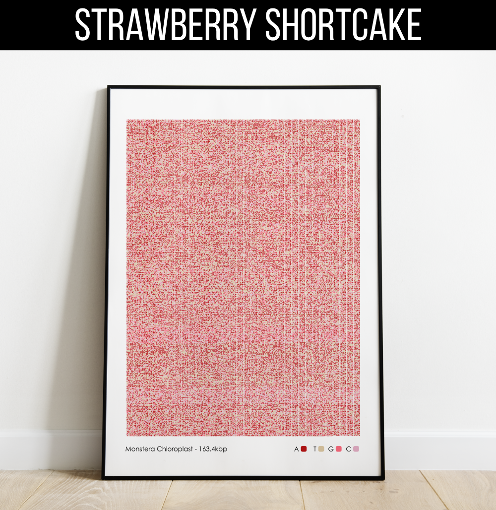 monstera-genome-print-grid-pink-cream-strawberry-shortcake