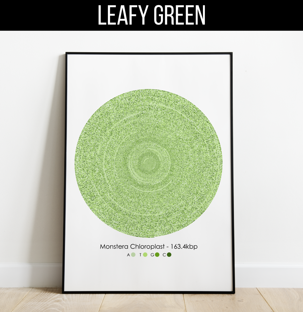 monstera-genome-print-spiral-leafy-green