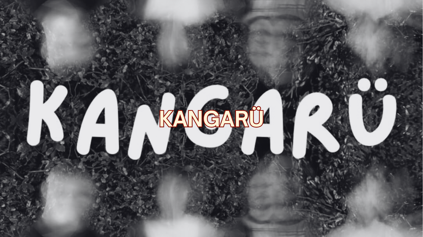 KANGARU 2026 PROFILE.png