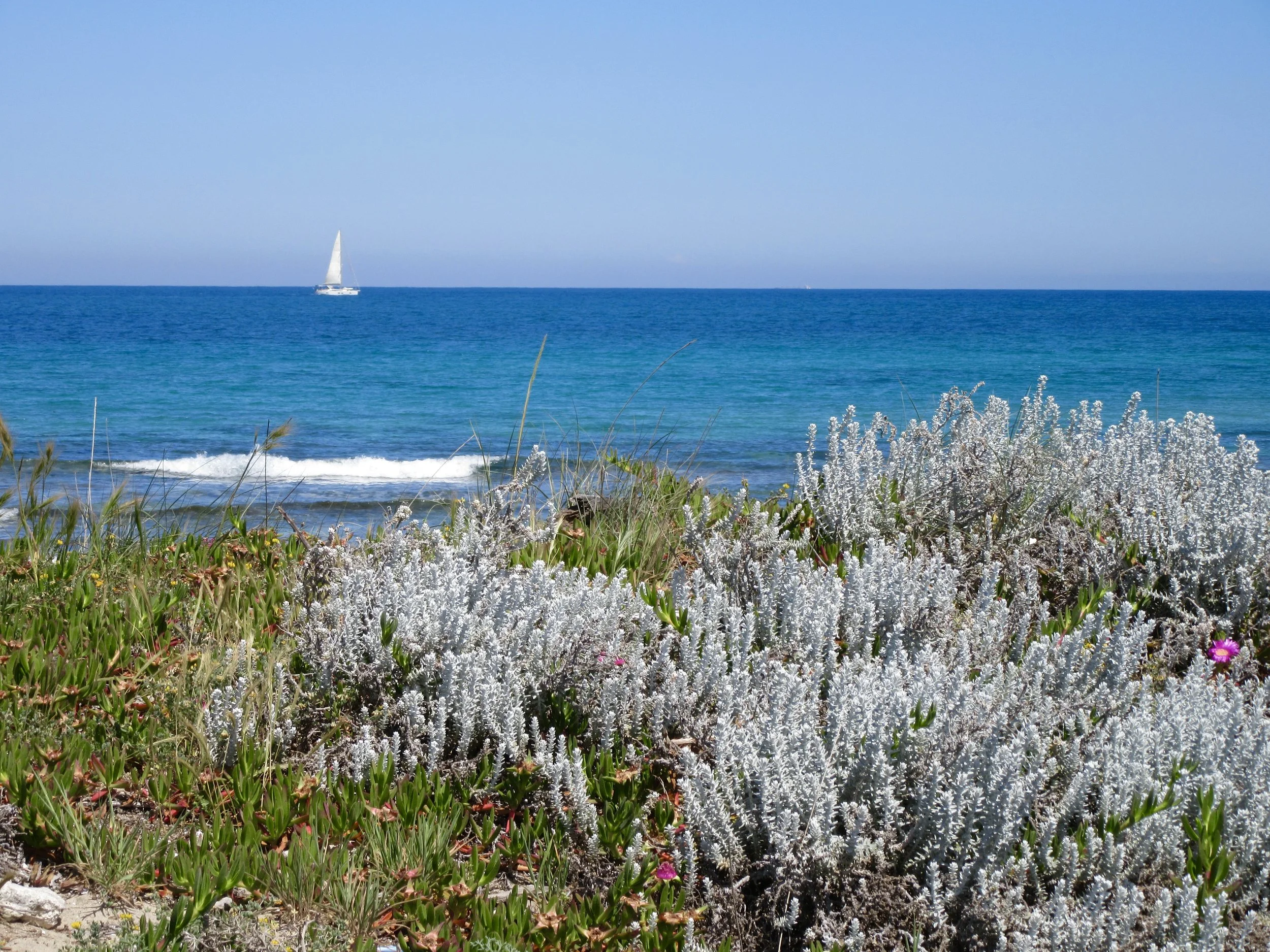 A view of the sea and a sailboat on a beach in San Cataldo, Puglia.