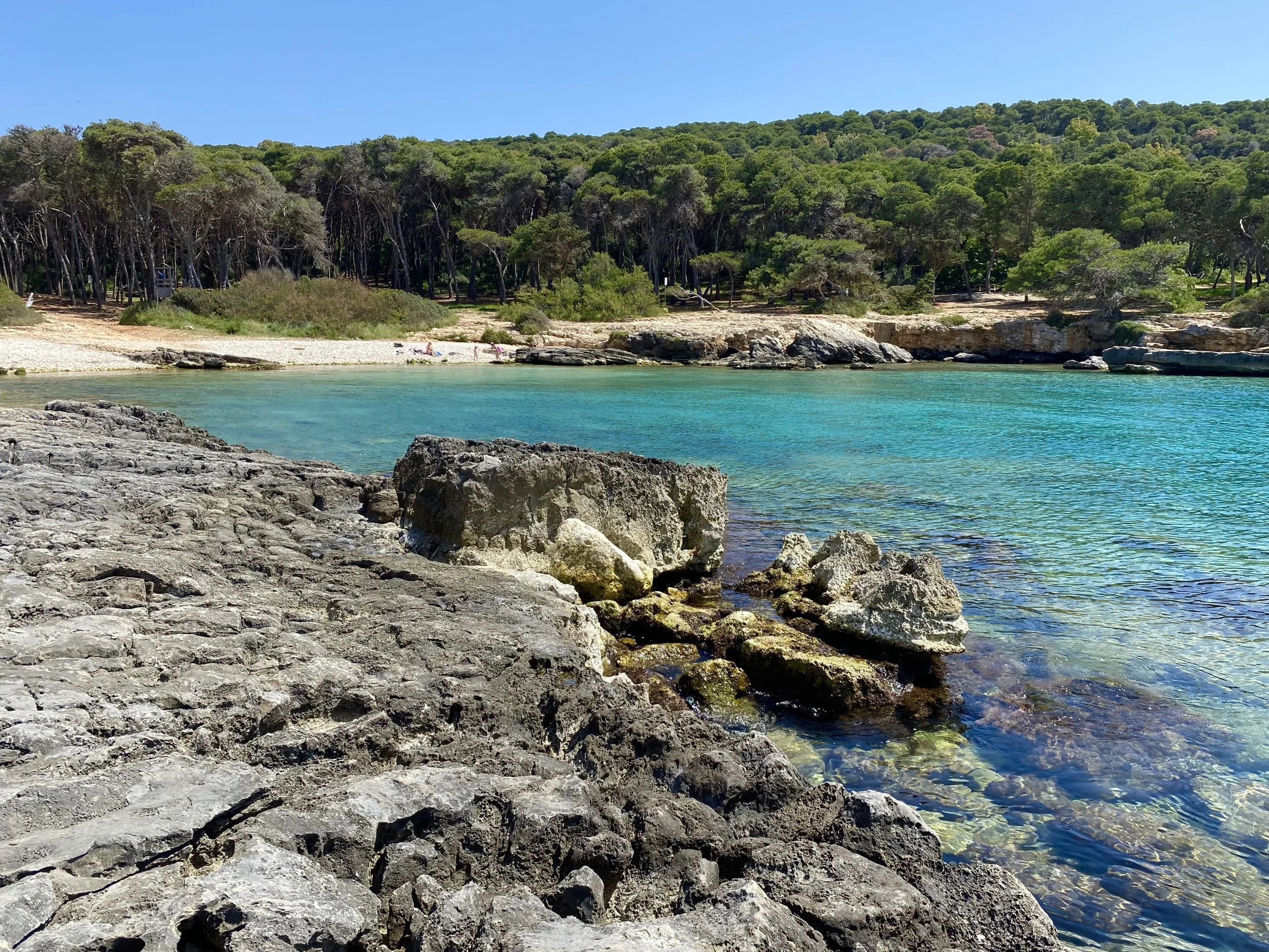 Azure water and rocky coastline at Porto Selvaggio, a nature and hiking area in Puglia, Italy.