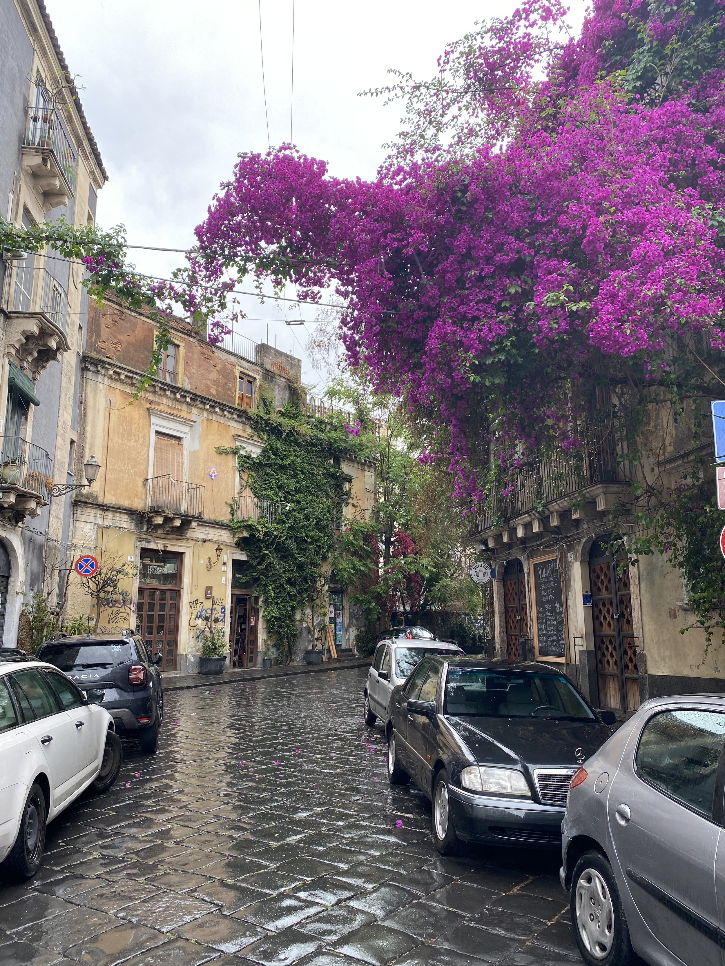 A typical street in Catania, Sicily with vines and flowers growing on the buildings.