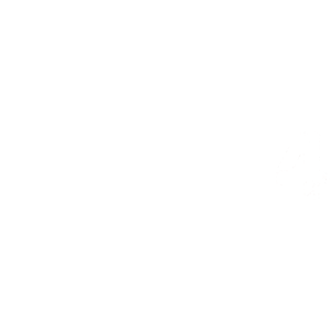 The image is completely blank with a white background.