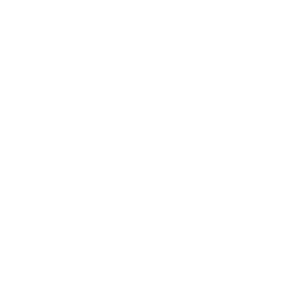 Blank white background with no objects or details