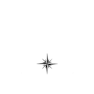 A black stylized starburst or compass rose design centered on a white background.