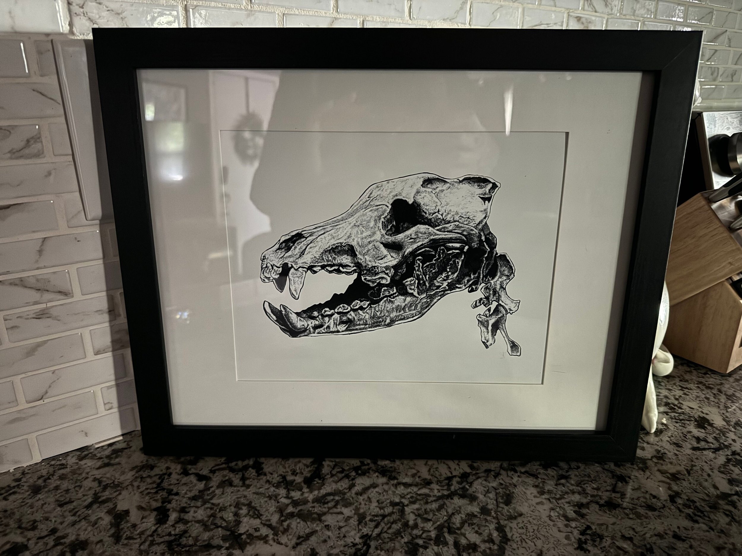 https://i.etsystatic.com/36888076/r/il/e34c71/6010445065/il_fullxfull.6010445065_8lgt.jpg