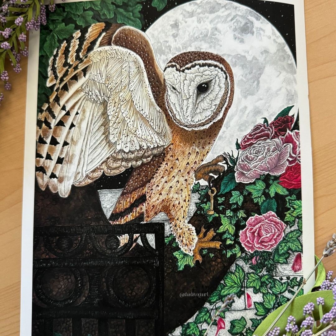 https://i.etsystatic.com/36888076/r/il/245dae/6023927663/il_fullxfull.6023927663_q9pv.jpg