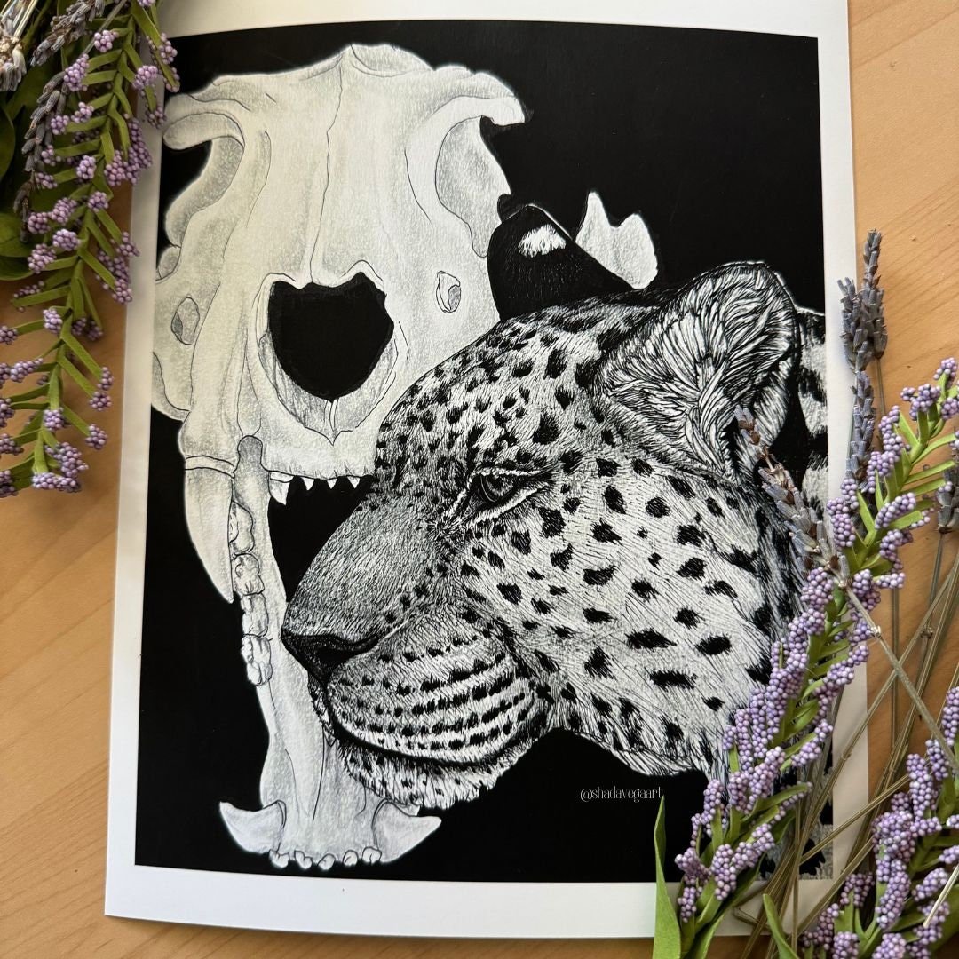 https://i.etsystatic.com/36888076/r/il/9a9b60/5811126998/il_fullxfull.5811126998_33k3.jpg