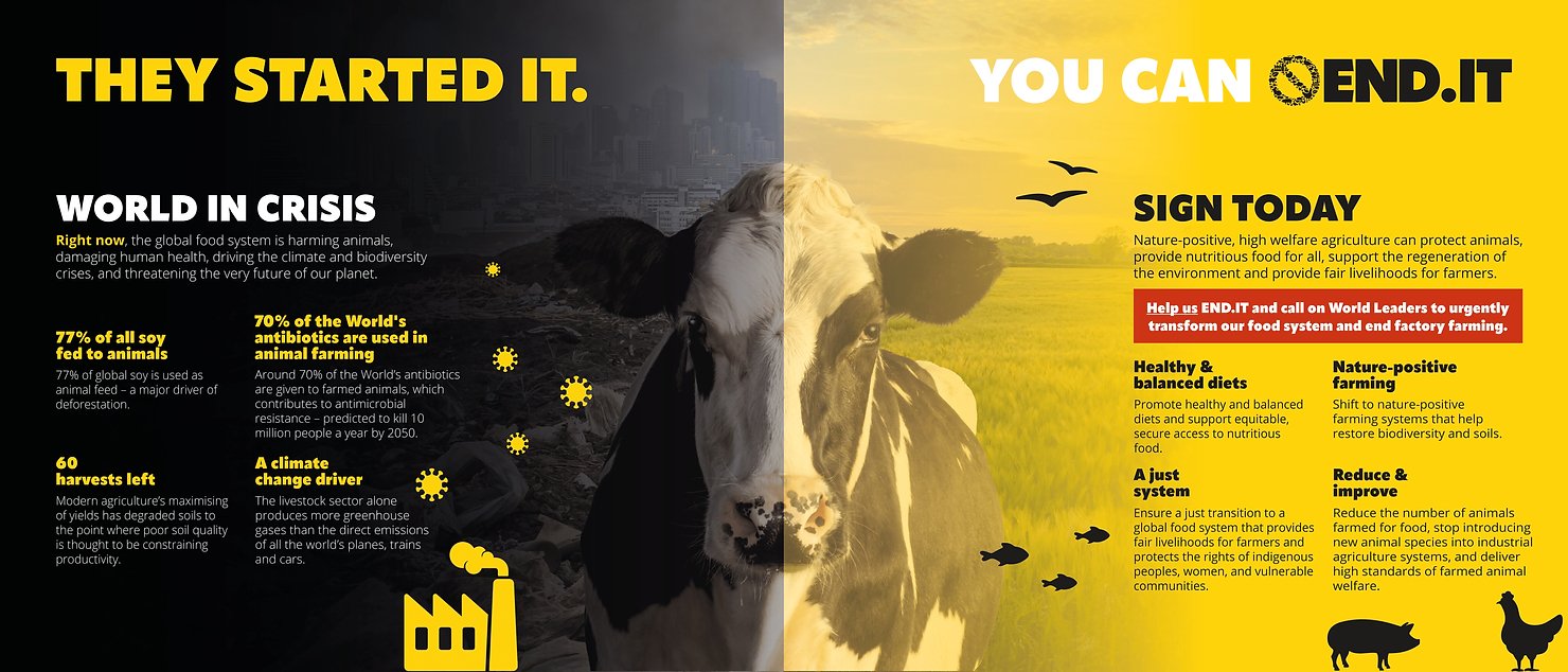 CIWF Graphic Design Support — [User-Friendly]