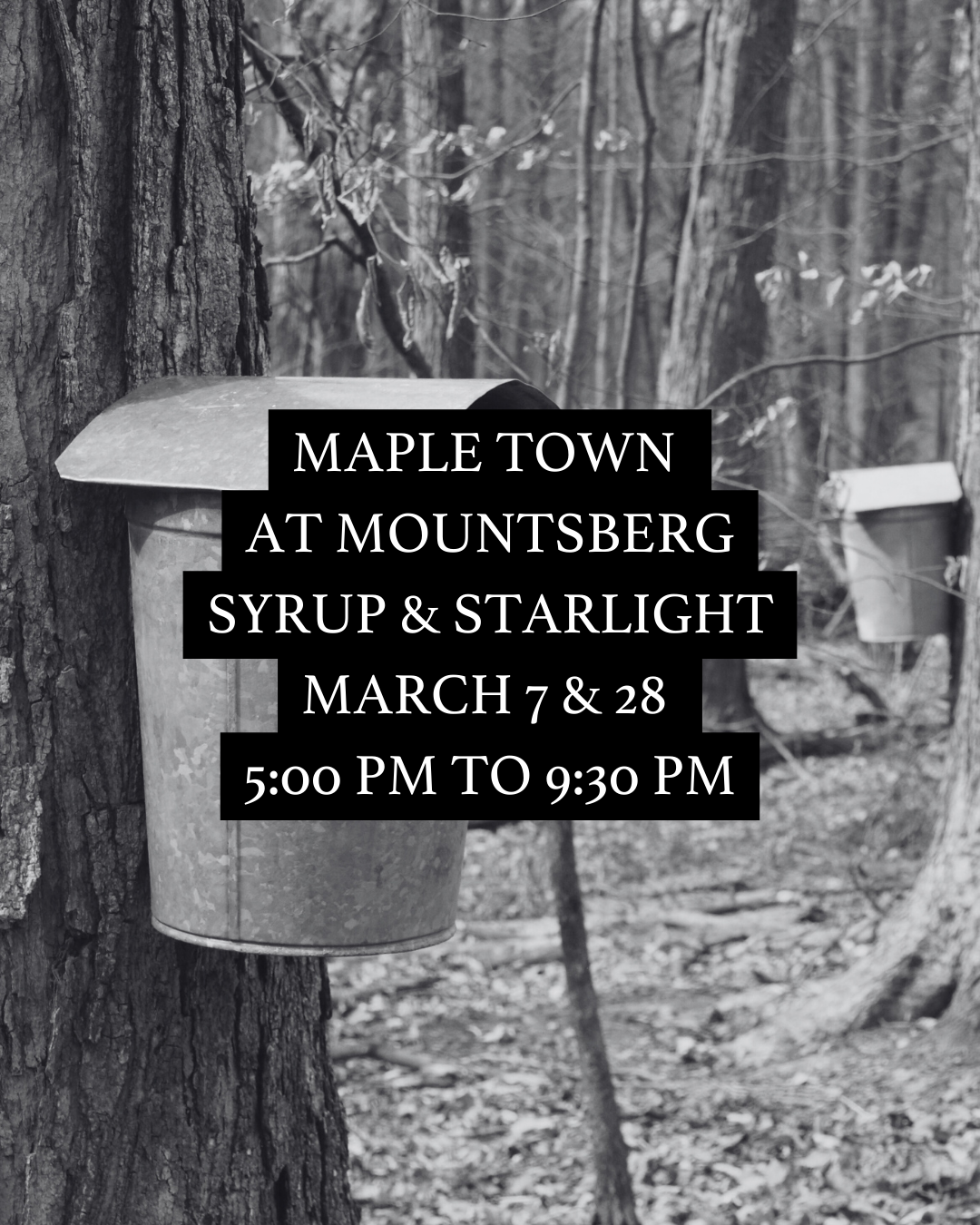 Syrup &amp; Starlight at Mountsberg (2026 Guide)