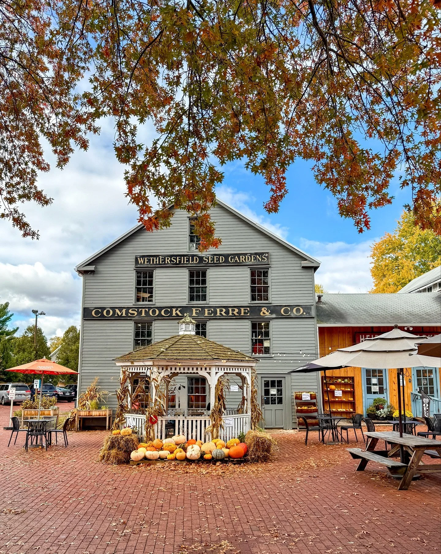 Recently in Connecticut 🍂🍁🍃 It&rsquo;s been a busy and fun couple of weeks. Here&rsquo;s to November! 

1. @heirloommarket in Old Wethersfield
2 A tour of @theglasshouse_newcanaan 
3. A delicious turkey sandwich from @cherrystreetcheese 
4. The Ne