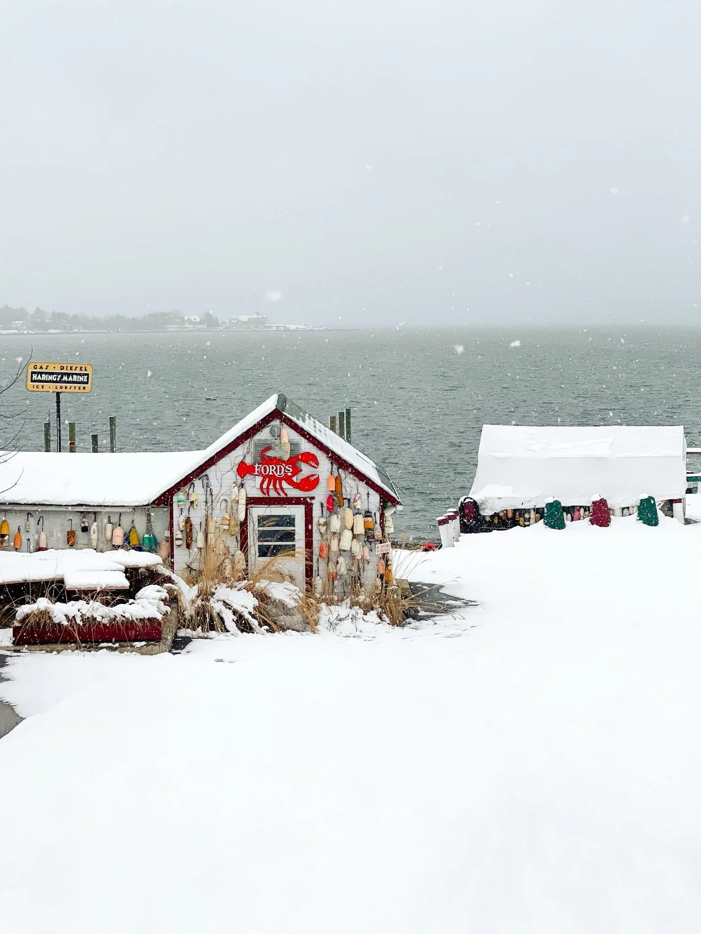 Winter on the coast ❄️🌨️☃️ It&rsquo;s officially winter now so it&rsquo;s only right I post one of my favorite snow photos. I took this in February 2021 while on a coastal weekend getaway at @whalersinnmystic. One of the days, it snowed a bunch and 