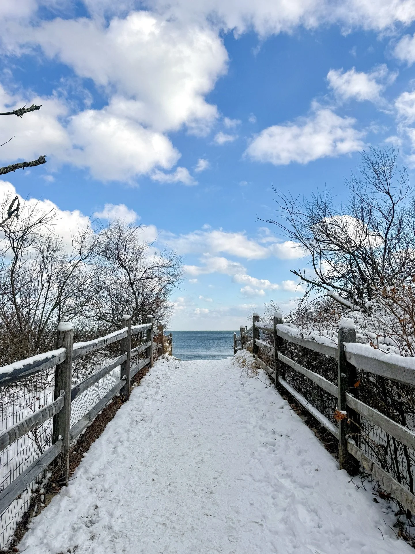 A few weeks of January in Connecticut ❄️☃️☕️📚 The start of the year has been fairly quiet which I&rsquo;m enjoying! Trying to embrace the quiet cozy days of winter with some fun things sprinkled in. 

1. My favorite view at @tods_point 
2. Cardamom 