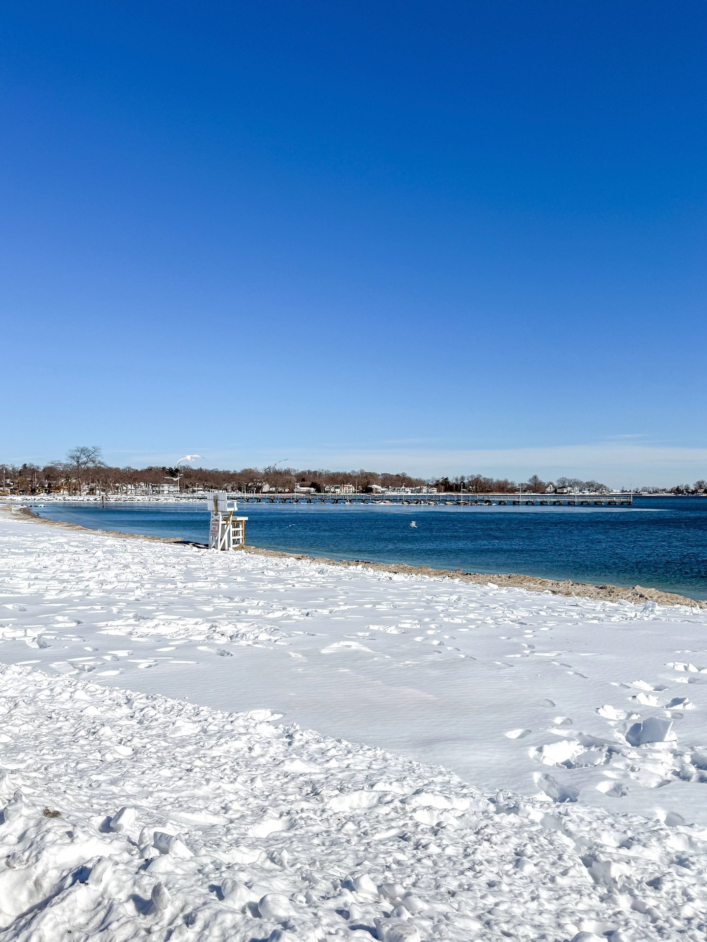 Recently in Connecticut ✨🤍❄️🌊🎨📚🍷

1. A beach walk in Stamford after a snowstorm 
2. Checked out @folkloreandfablebooks in Colchester 
3. Finally visited @jtimothys in Plainville for the famous wings
4. An overnight stay at the @innatstonington 
