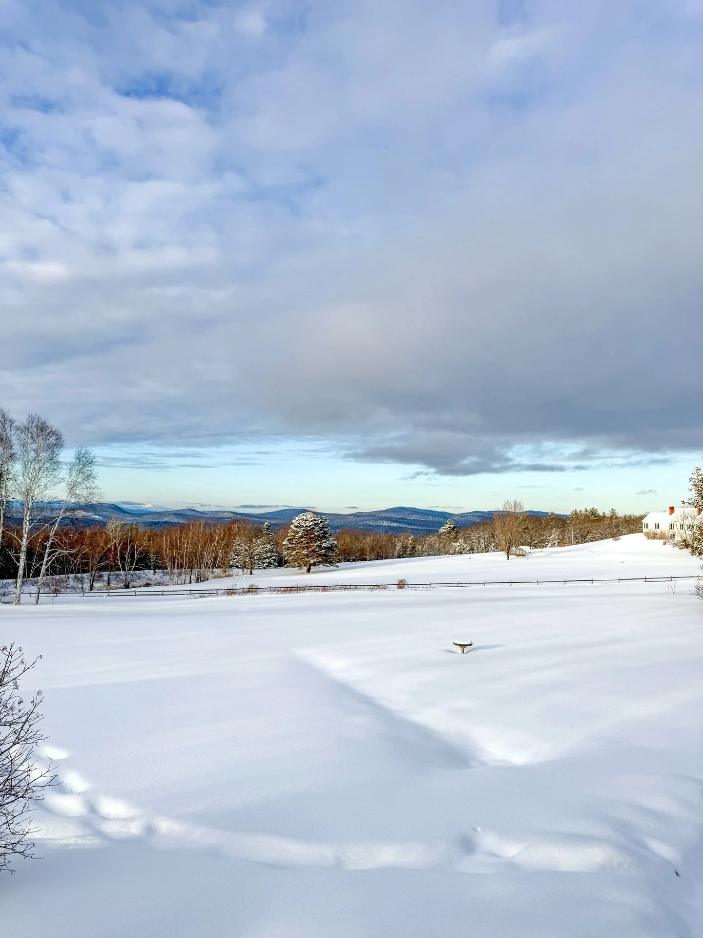 The last few weeks of February in New England ❄️🌨️☕️📚🥐🍹🌊

February was definitely a mixed bag for me. My team won the Super Bowl (still on a high from that) and I went on some fun travels but I also had the stomach flu which was horrendous and I