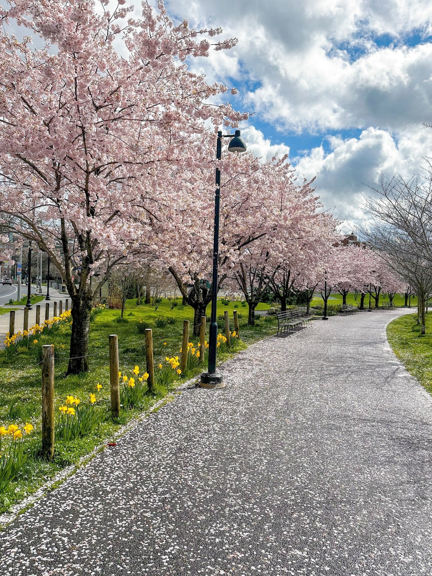 Happy first day of spring 🌿🌷🌾🌸 It may not feel like spring quite yet, but I&rsquo;m looking forward to warmer days ahead!