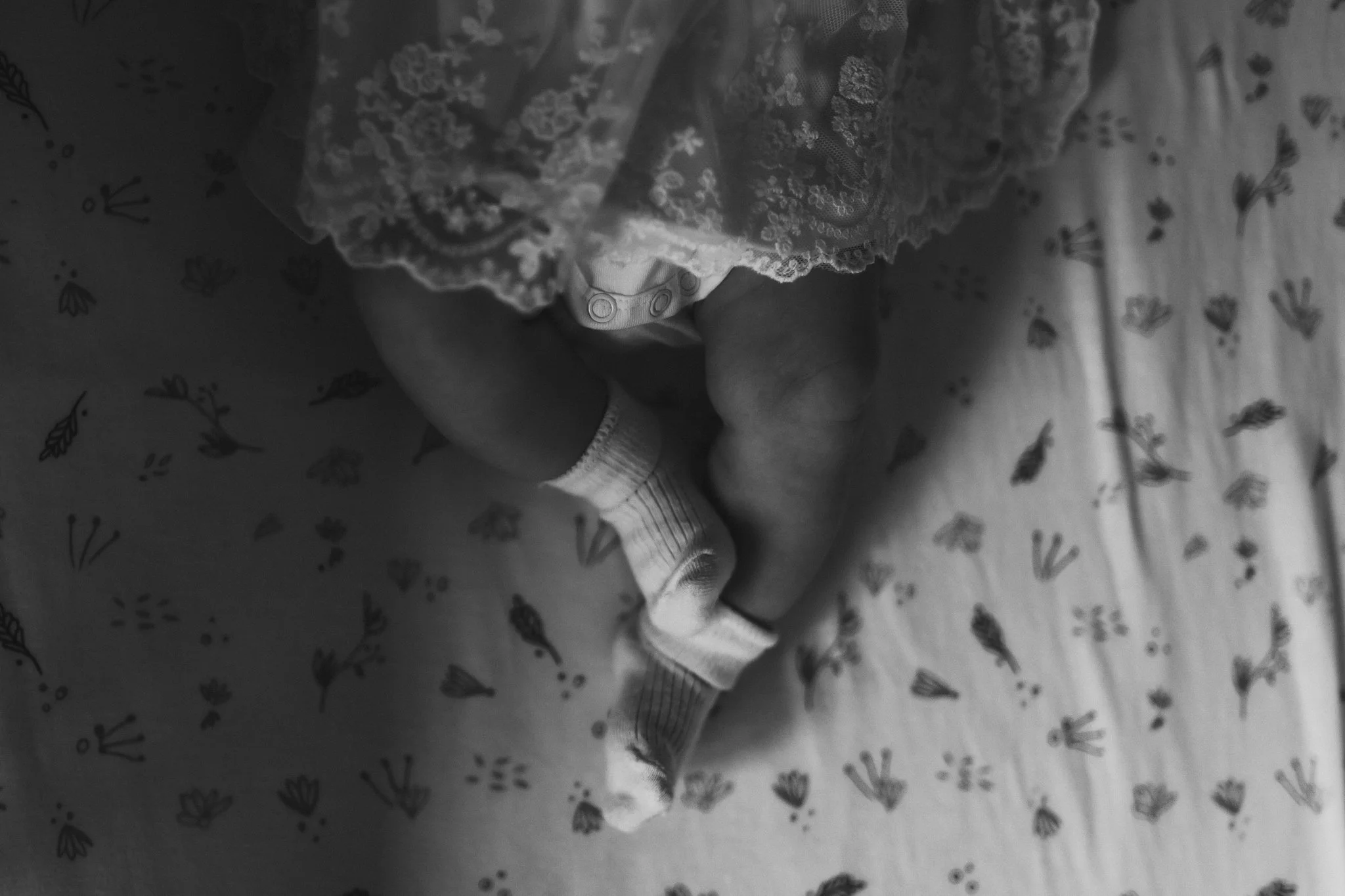 Botez_Sierra_17_August_2025-86.JPG