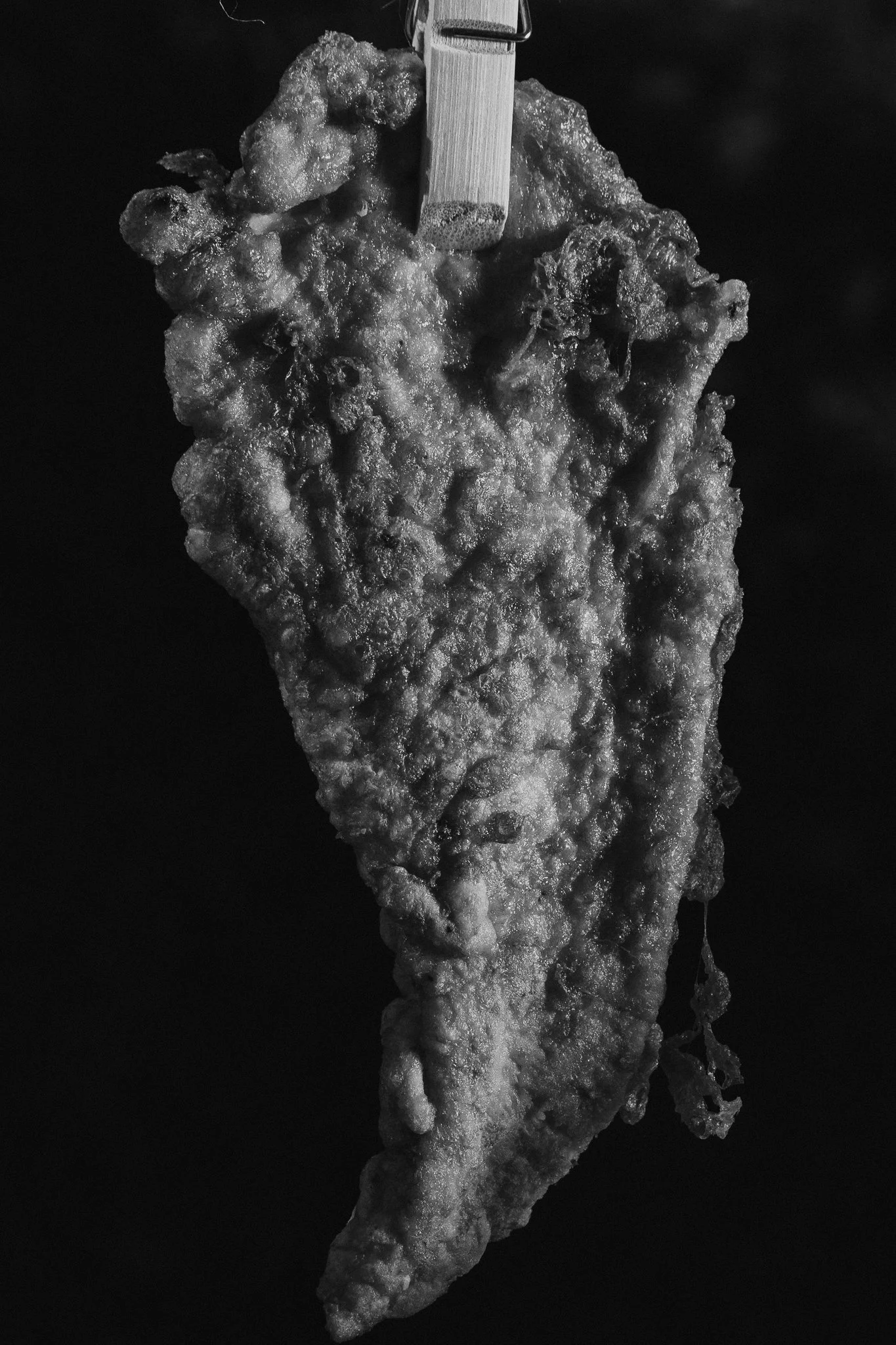 CB_25mai_test-2.JPG