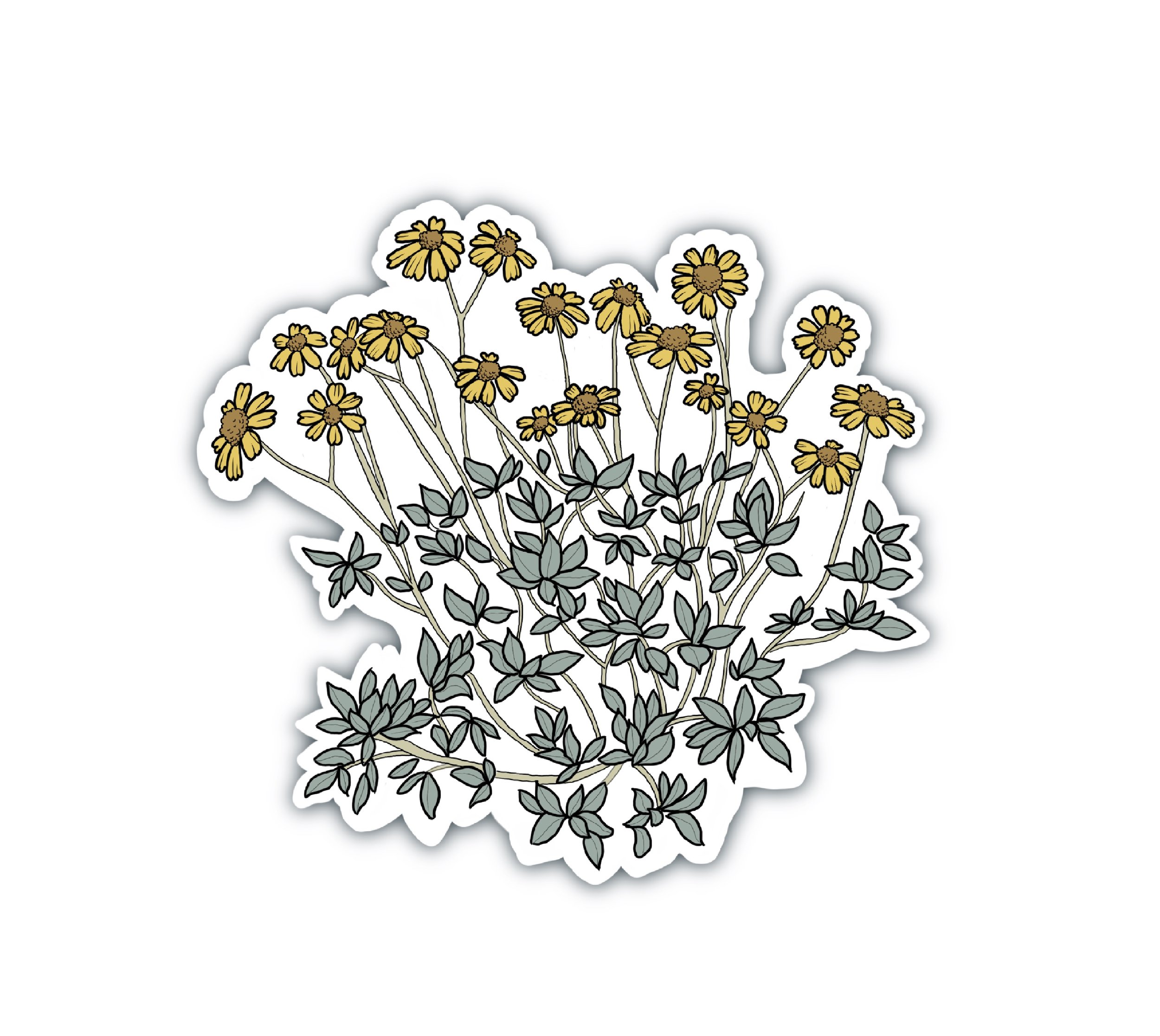 BRITTLEBUSH STICKER