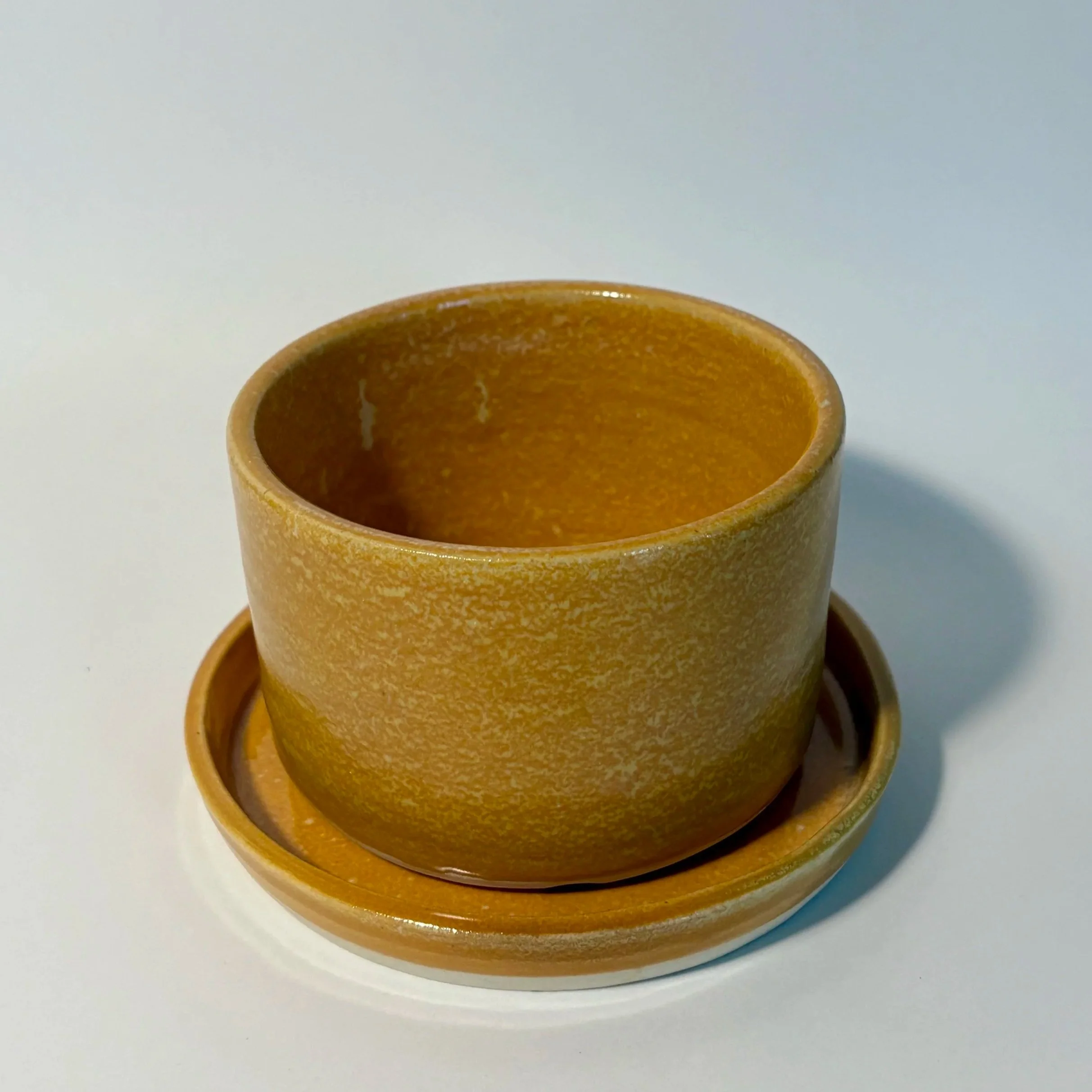CERAMIC PLANT POT WITH DISH