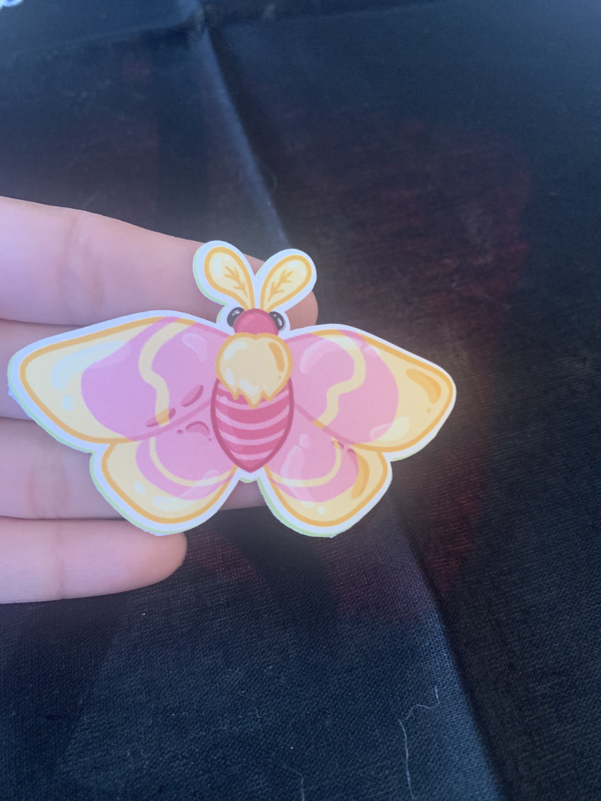 moth sticker.jpg