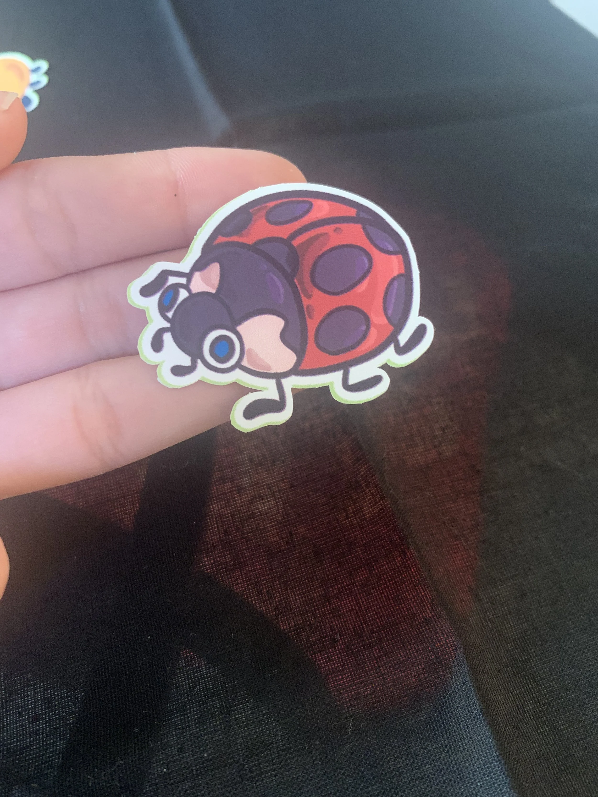 ladybug sticker.jpg