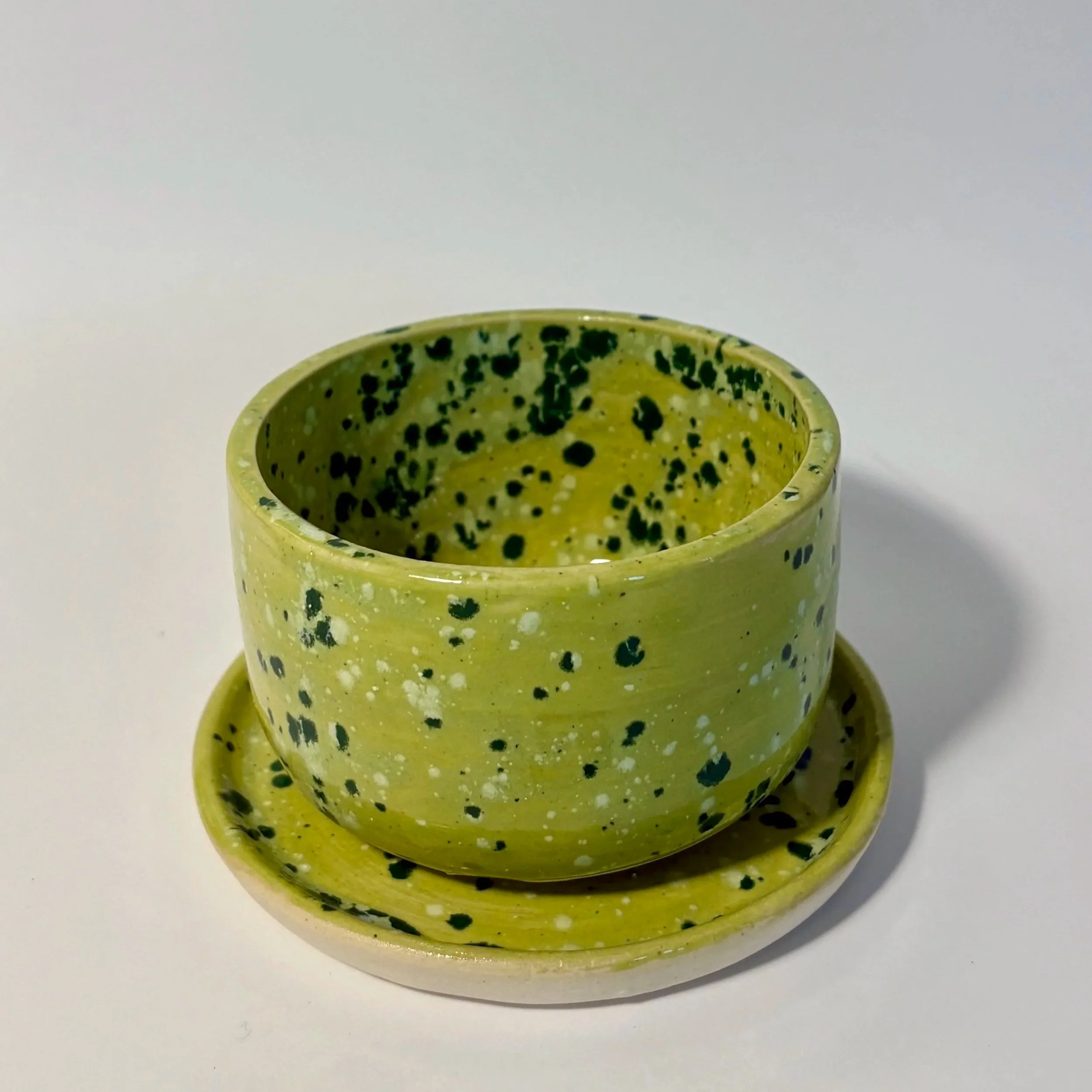 Speckled+green.jpg