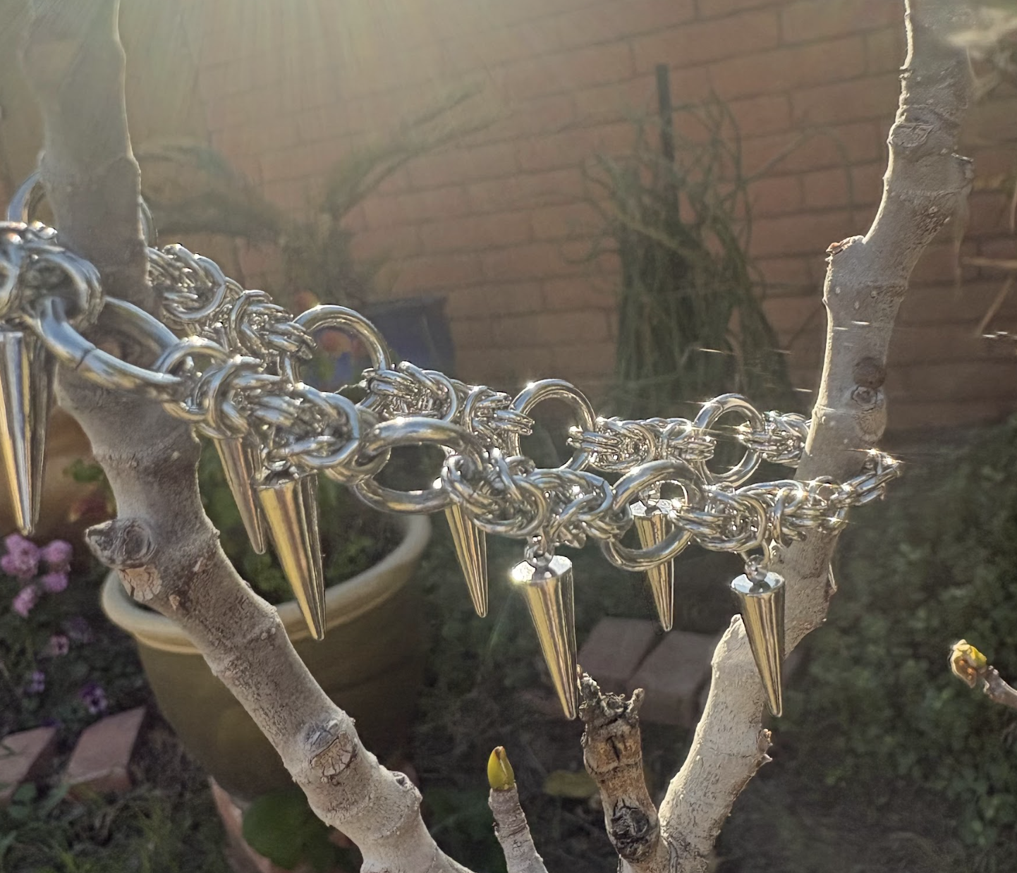 Screenshot 2026-02-15 at 12.44.46 AM.png