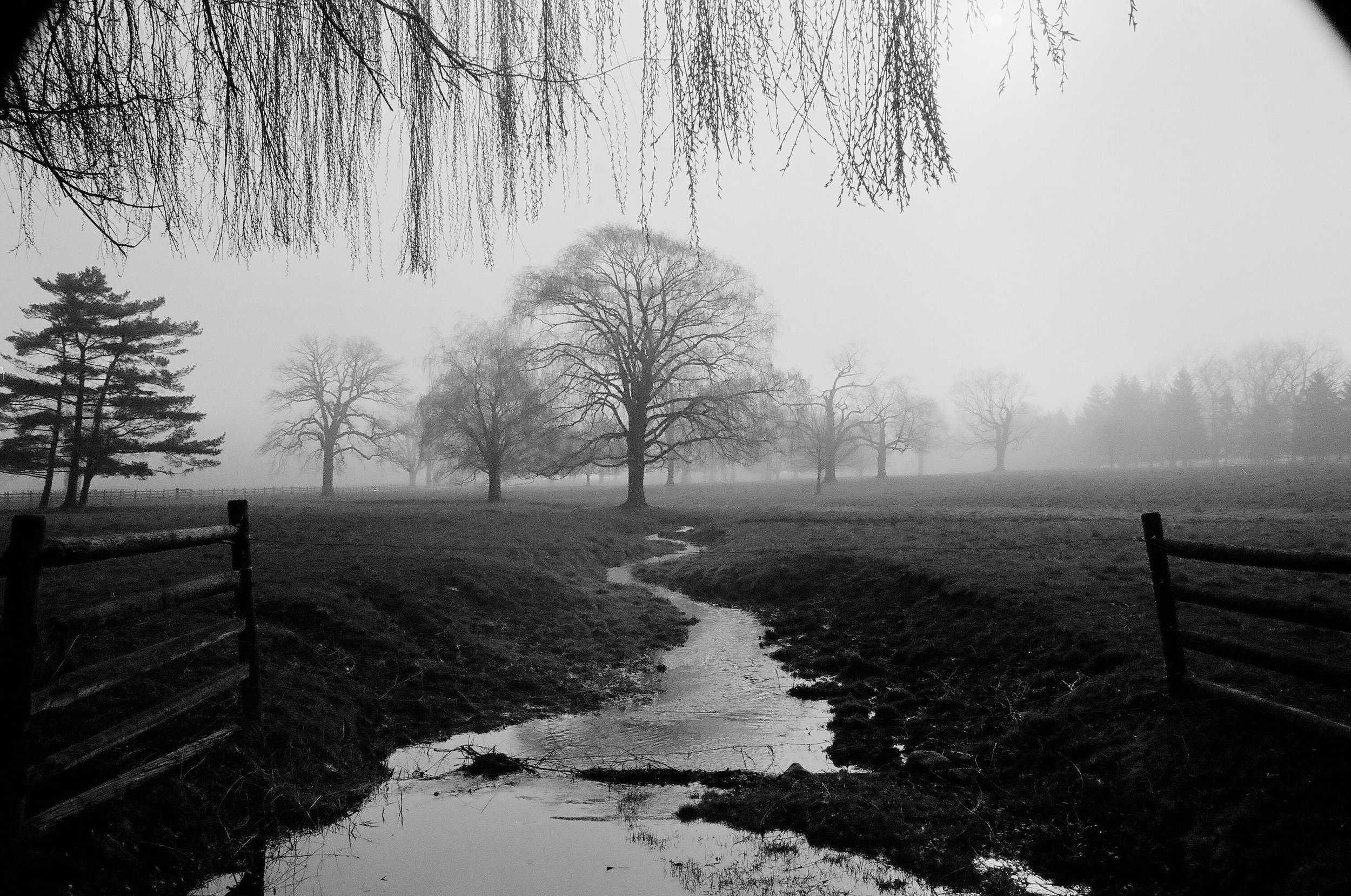 Slow Spring - SFX