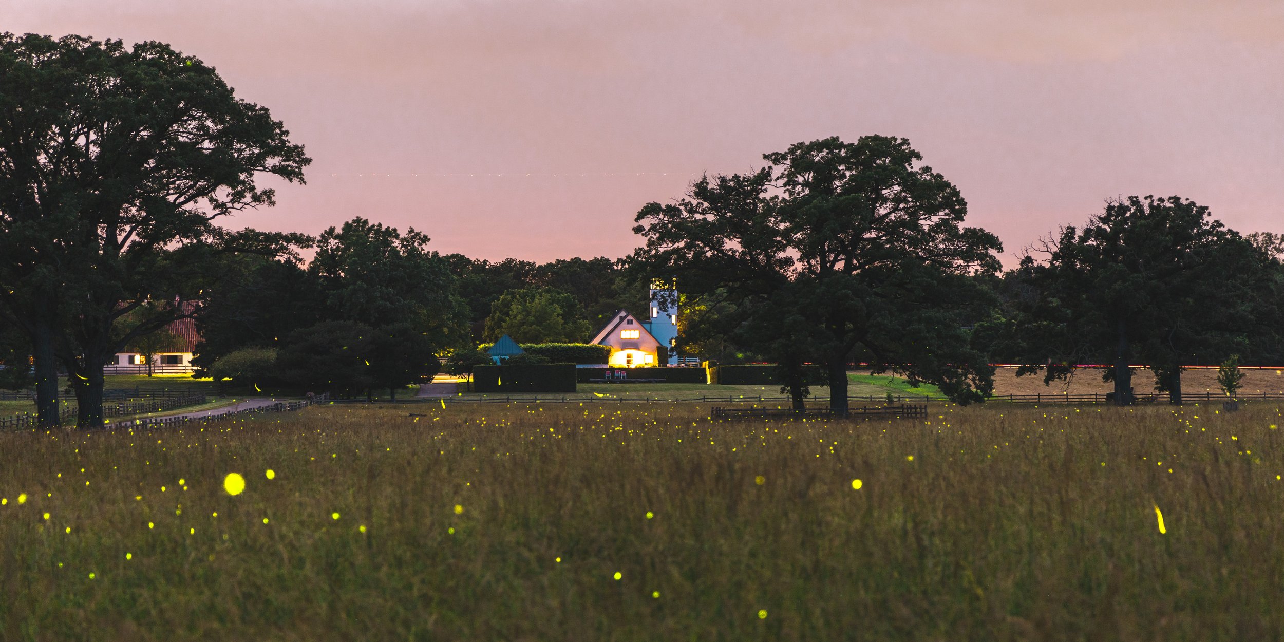 Firelight Farm - Digital Color