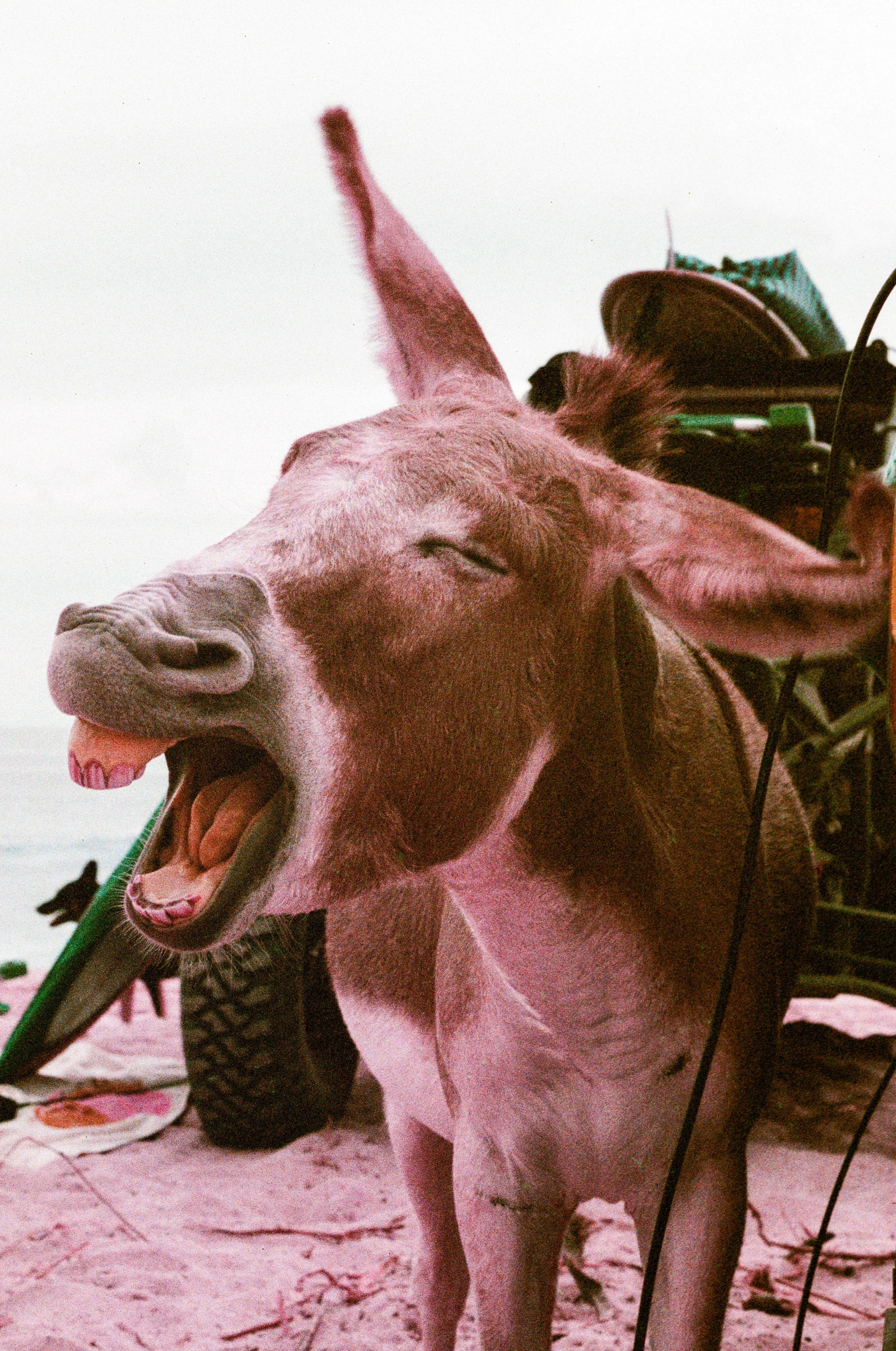 Lomochrome-719.jpg