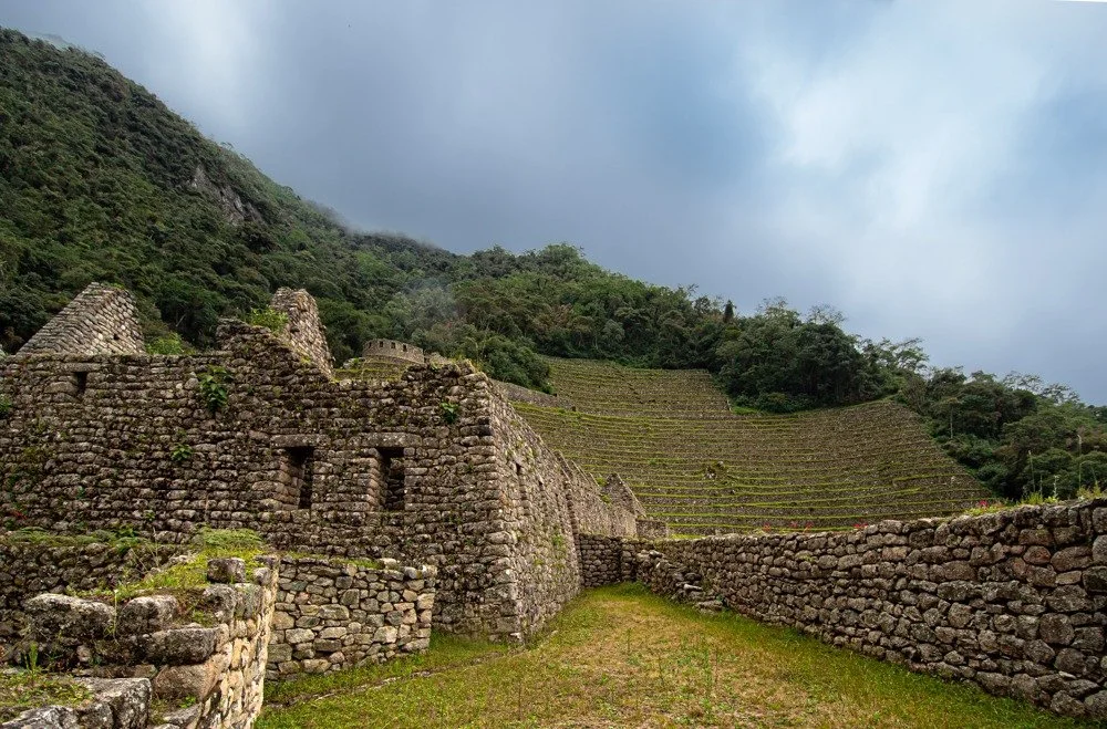 Wiñayhuayna3.jpeg