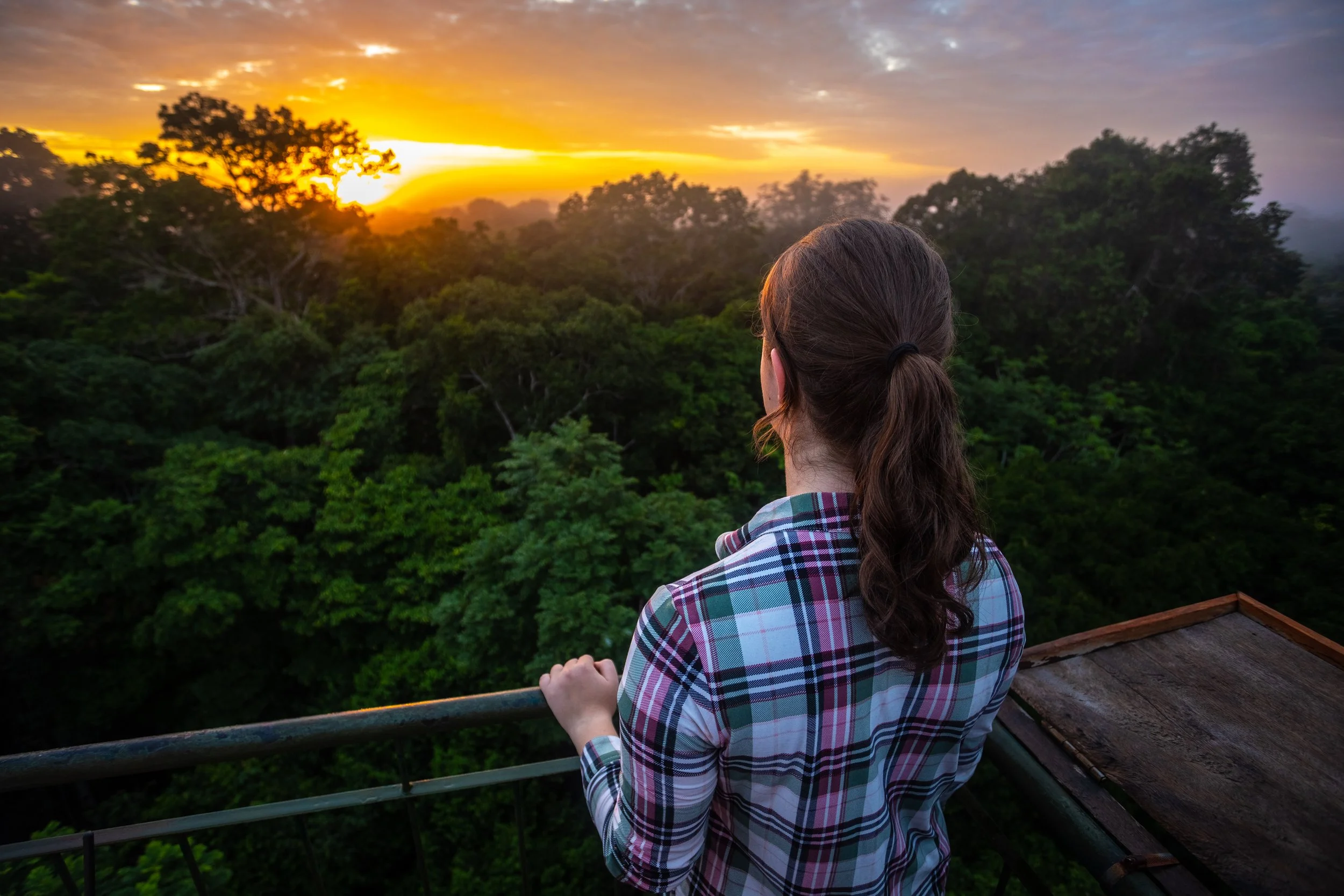 Refugio Amazonas - Canopy Tower by ZachBaranowski-3.jpg