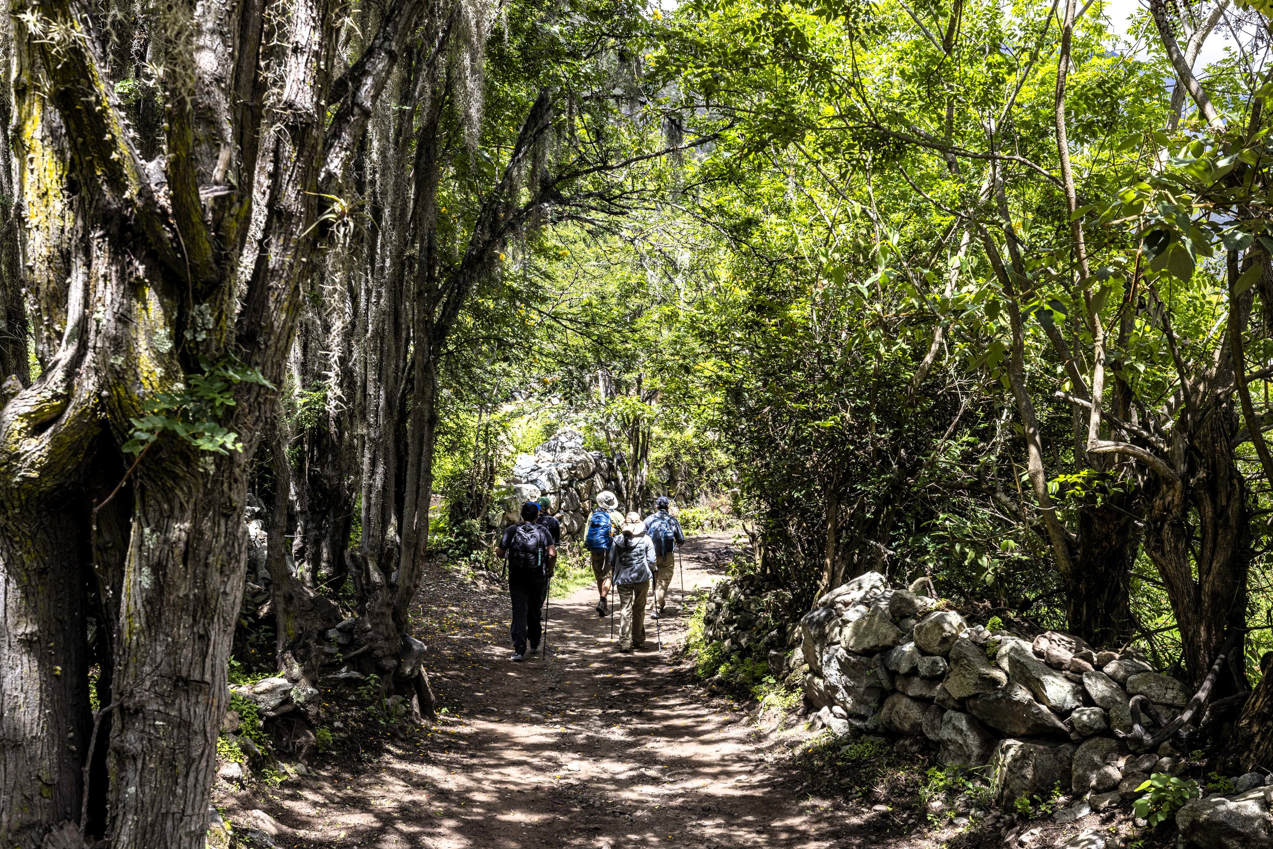 Sustainability in Tourism: 