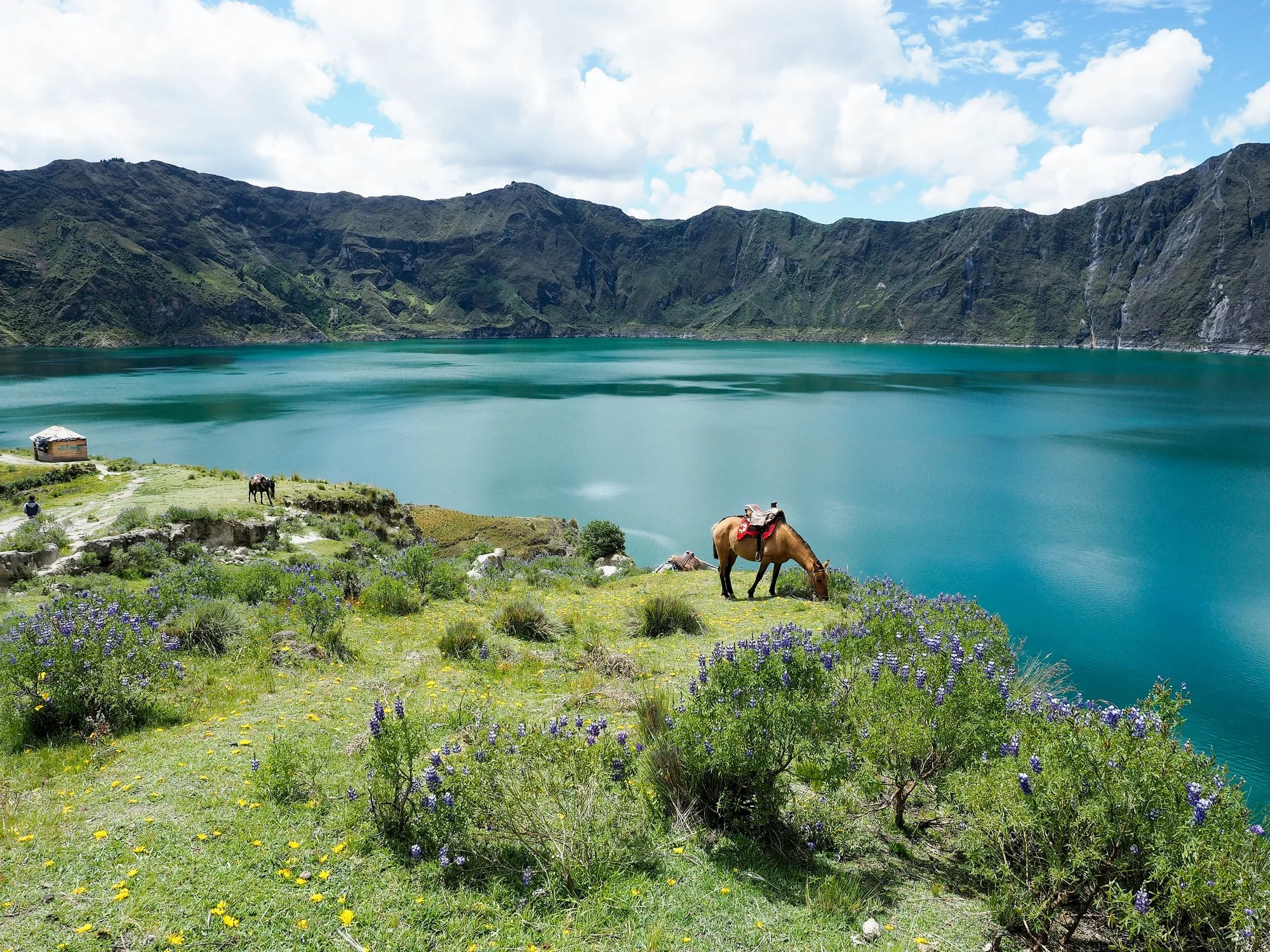 iStock-872646768.jpg