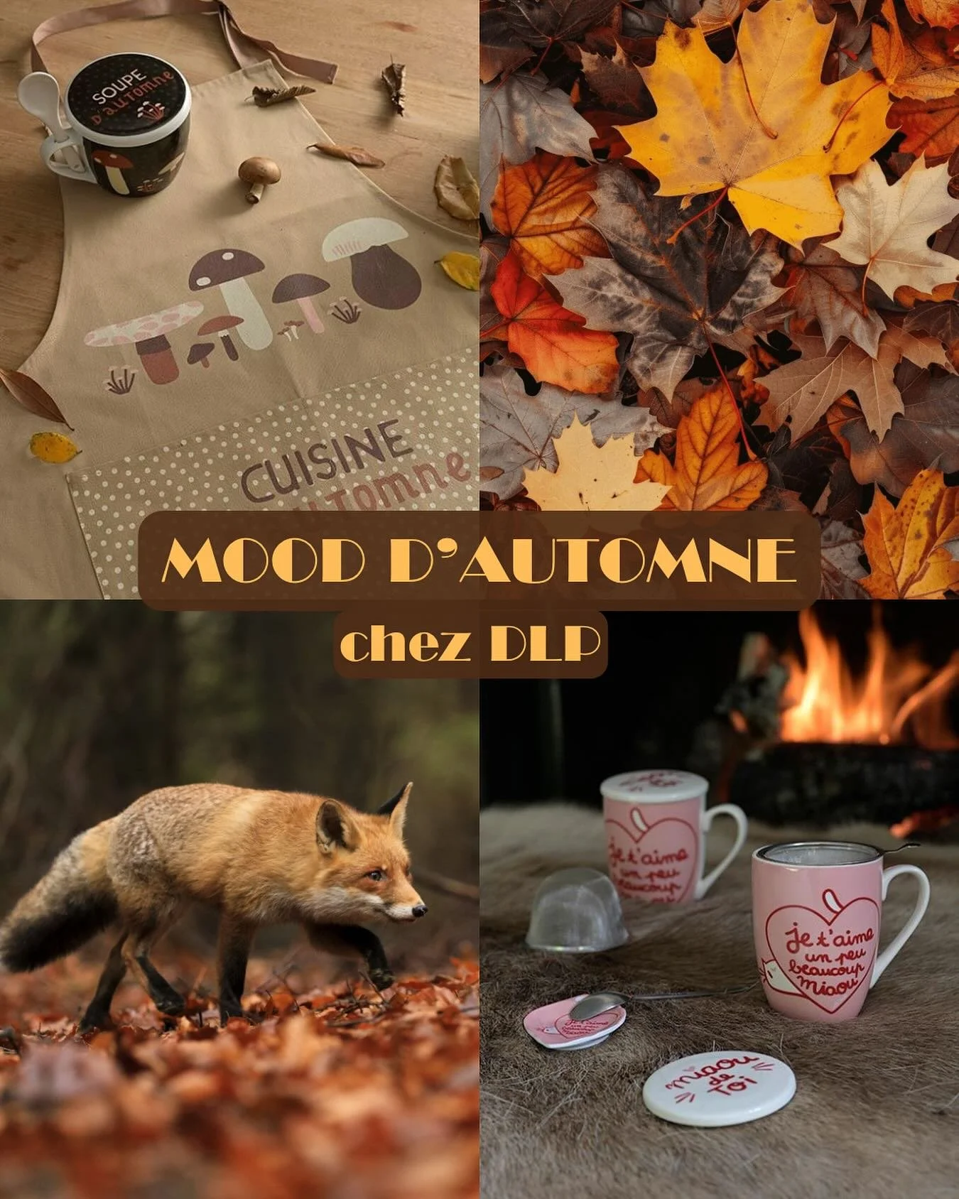 🍂 Mood d&rsquo;automne chez DLP 🍂

Feuilles qui craquent sous les pas, recettes r&eacute;confortantes, mugs pleins de douceur et instants cocooning au coin du feu&hellip; 🦊☕
L&rsquo;automne est arriv&eacute;, et on l&rsquo;accueille avec style &am