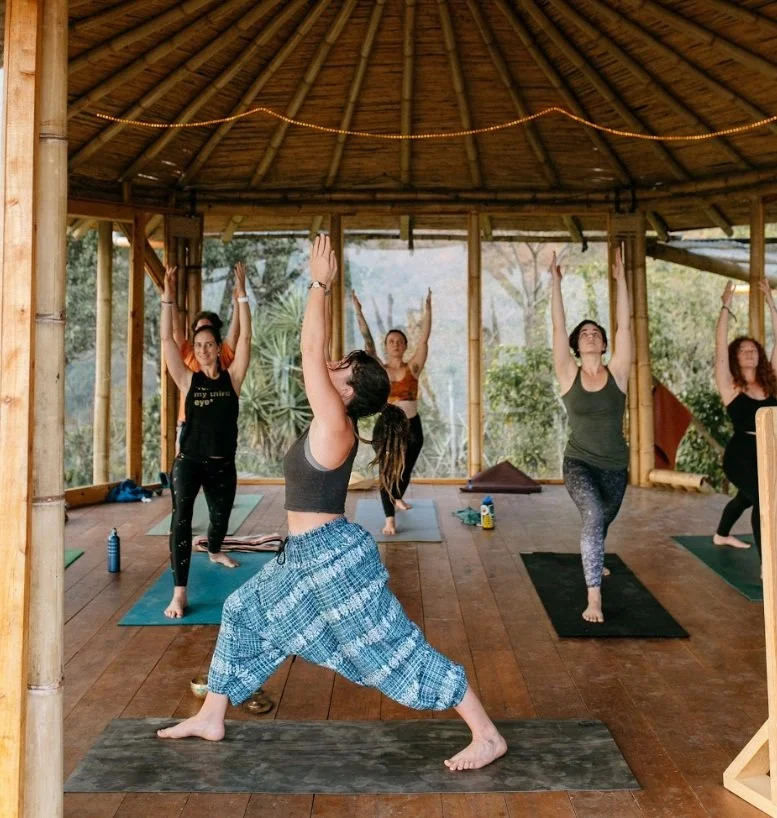 Group yoga class in a wooden pavilion, people in warrior pose, outdoors.