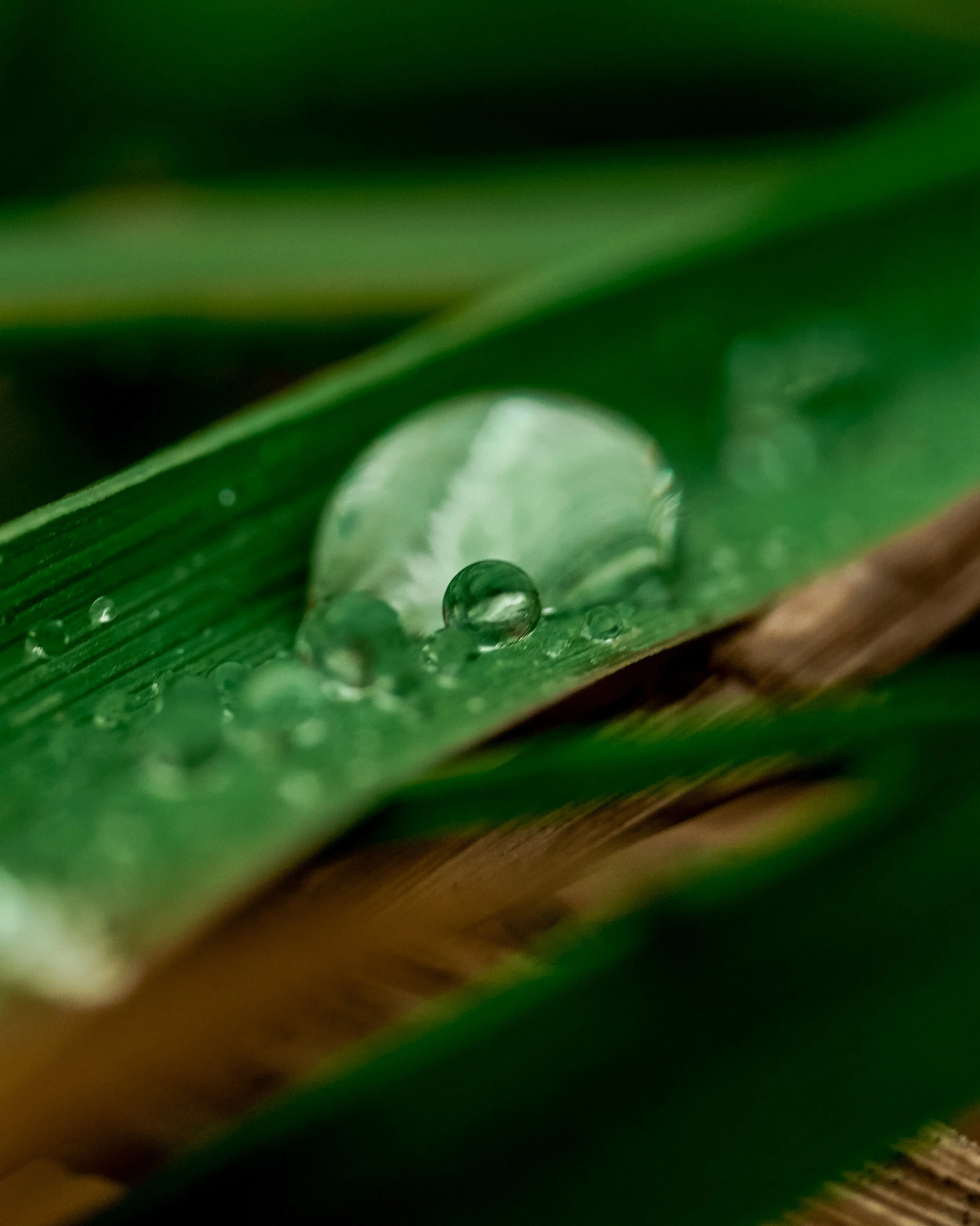 Droplet