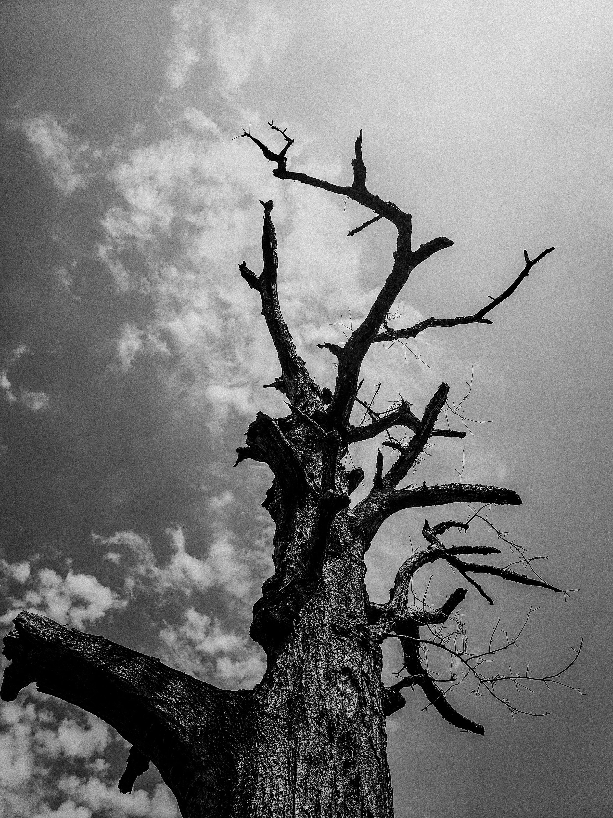 Disrepair