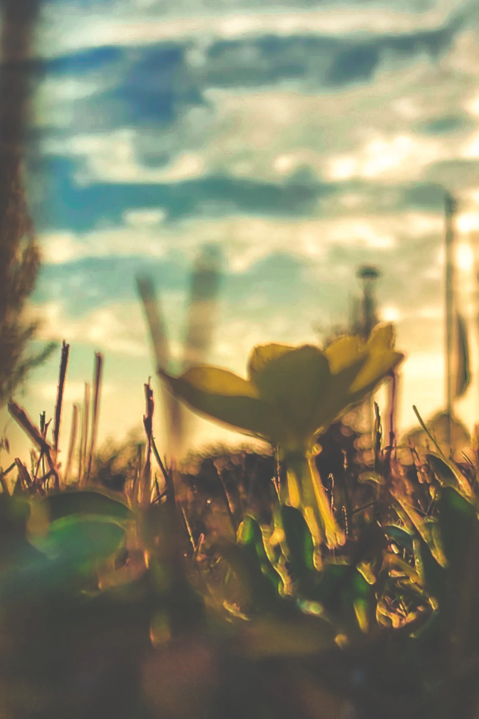 A New Dawn