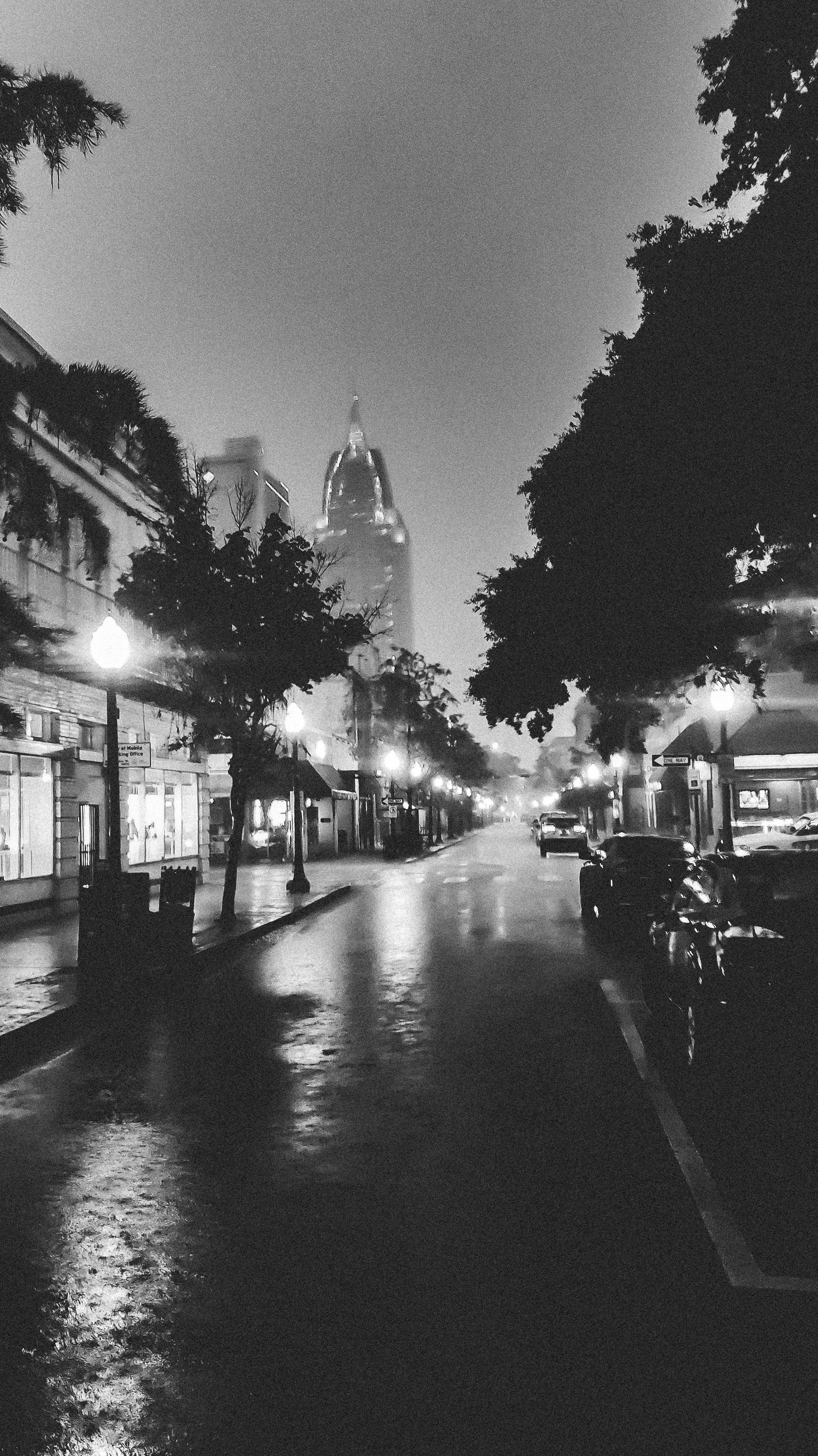 Misty Dauphin St
