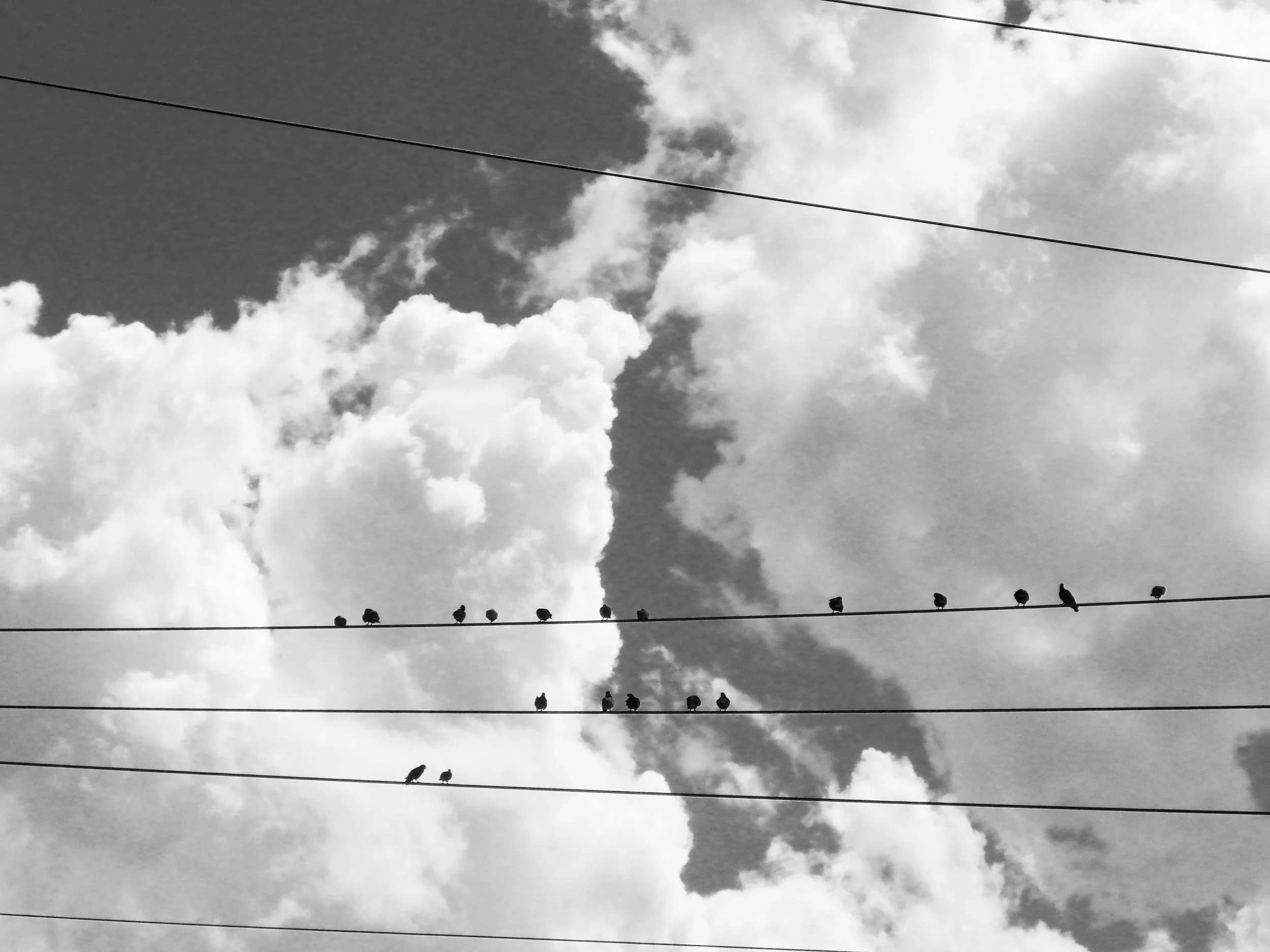 on a wire