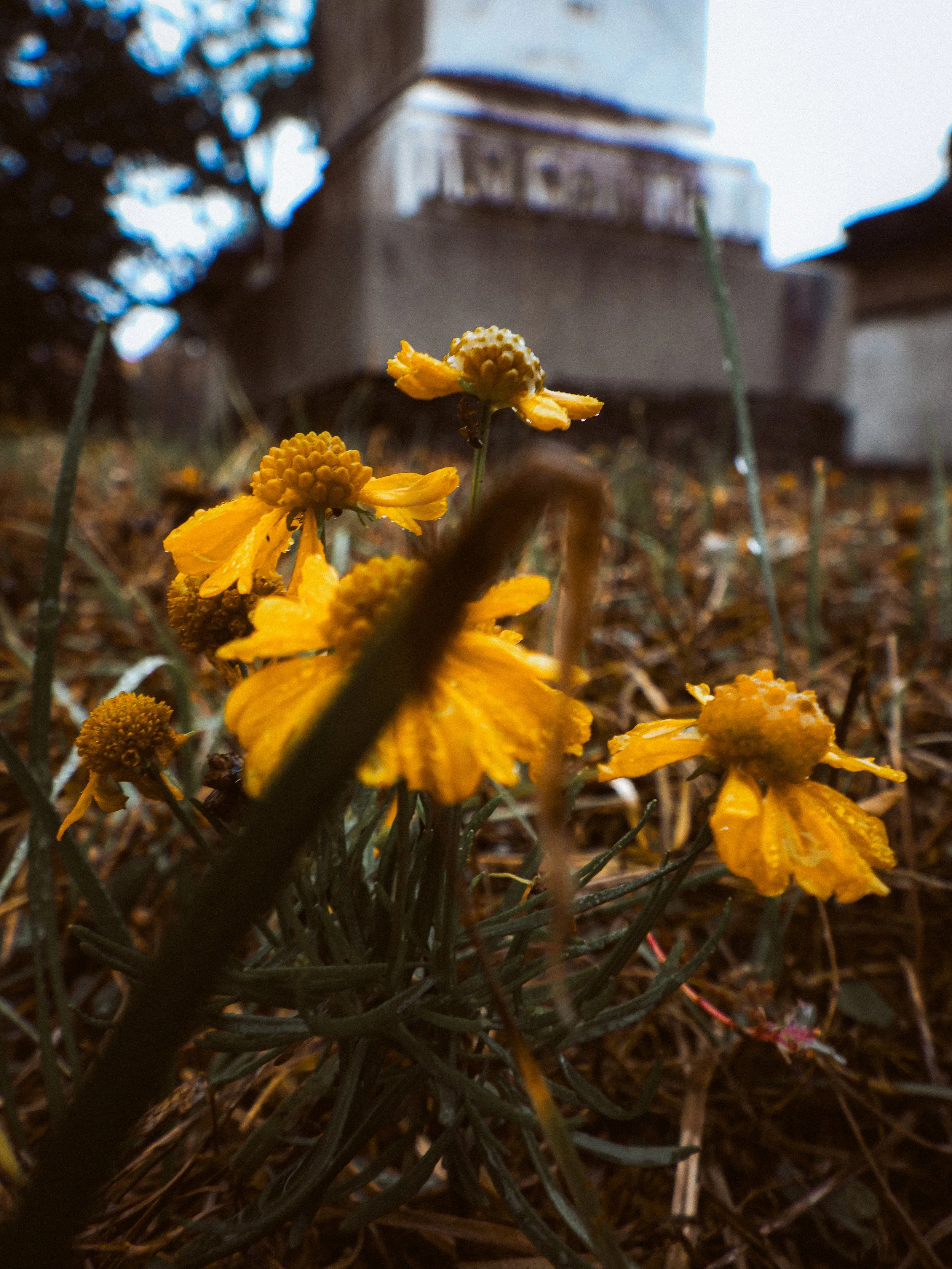 graveyard moods
