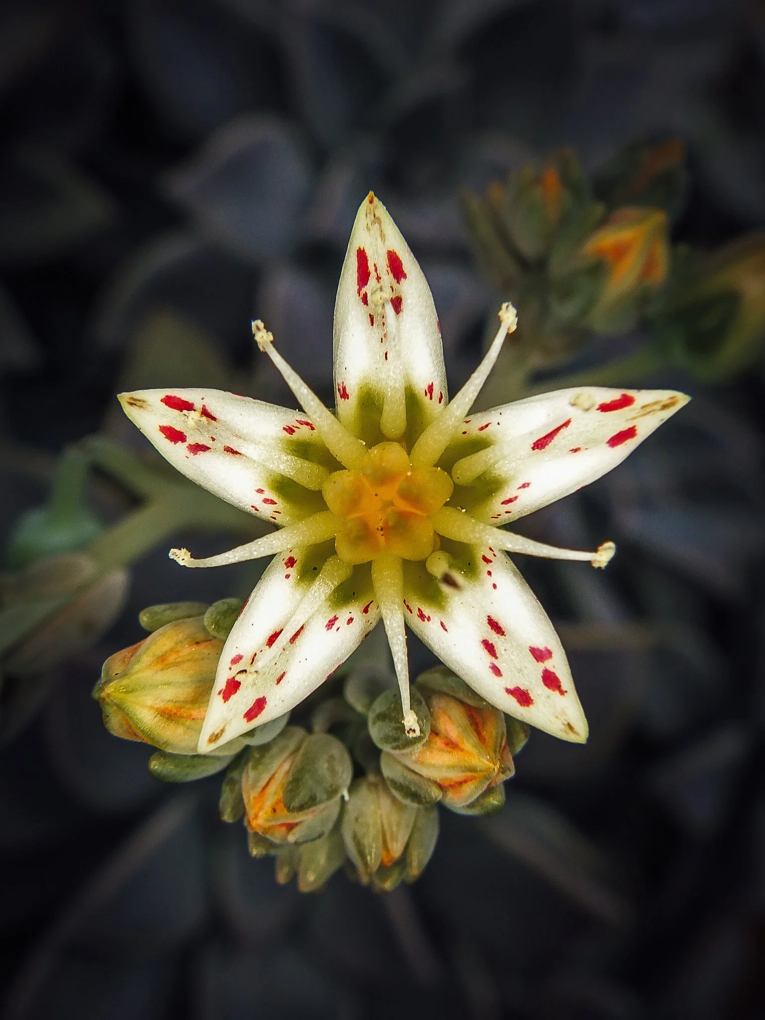 eye catching
